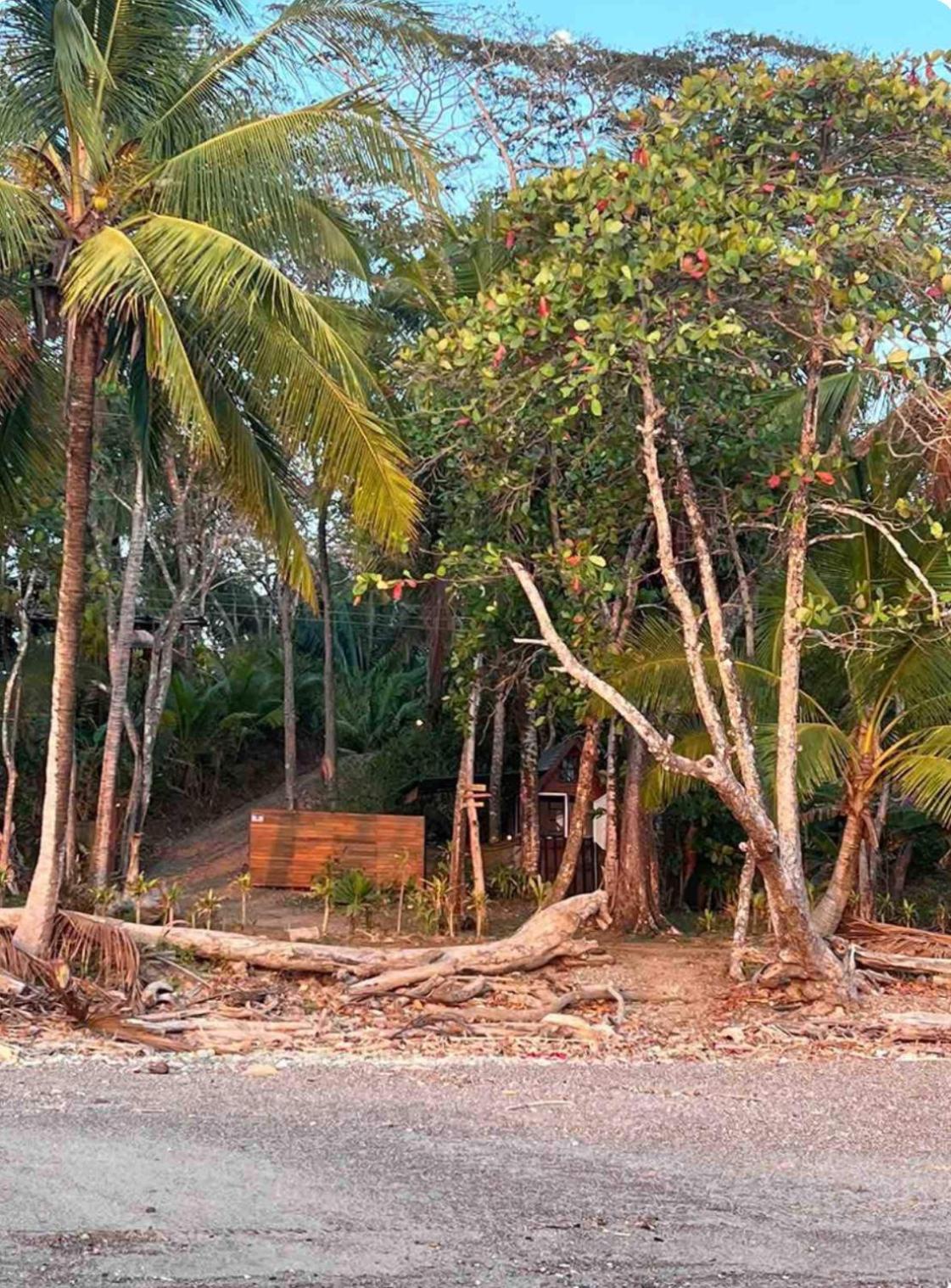 Beachfront sunset Bungalow