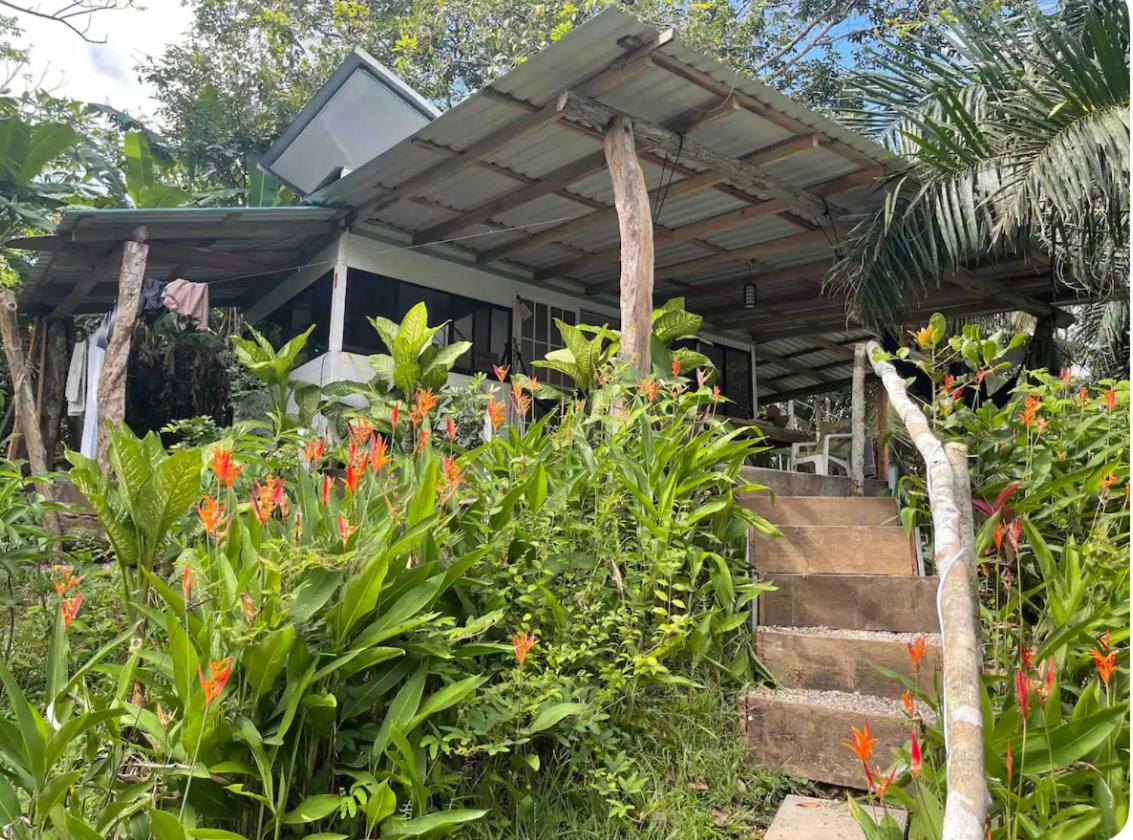 Beachfront sunset Bungalow