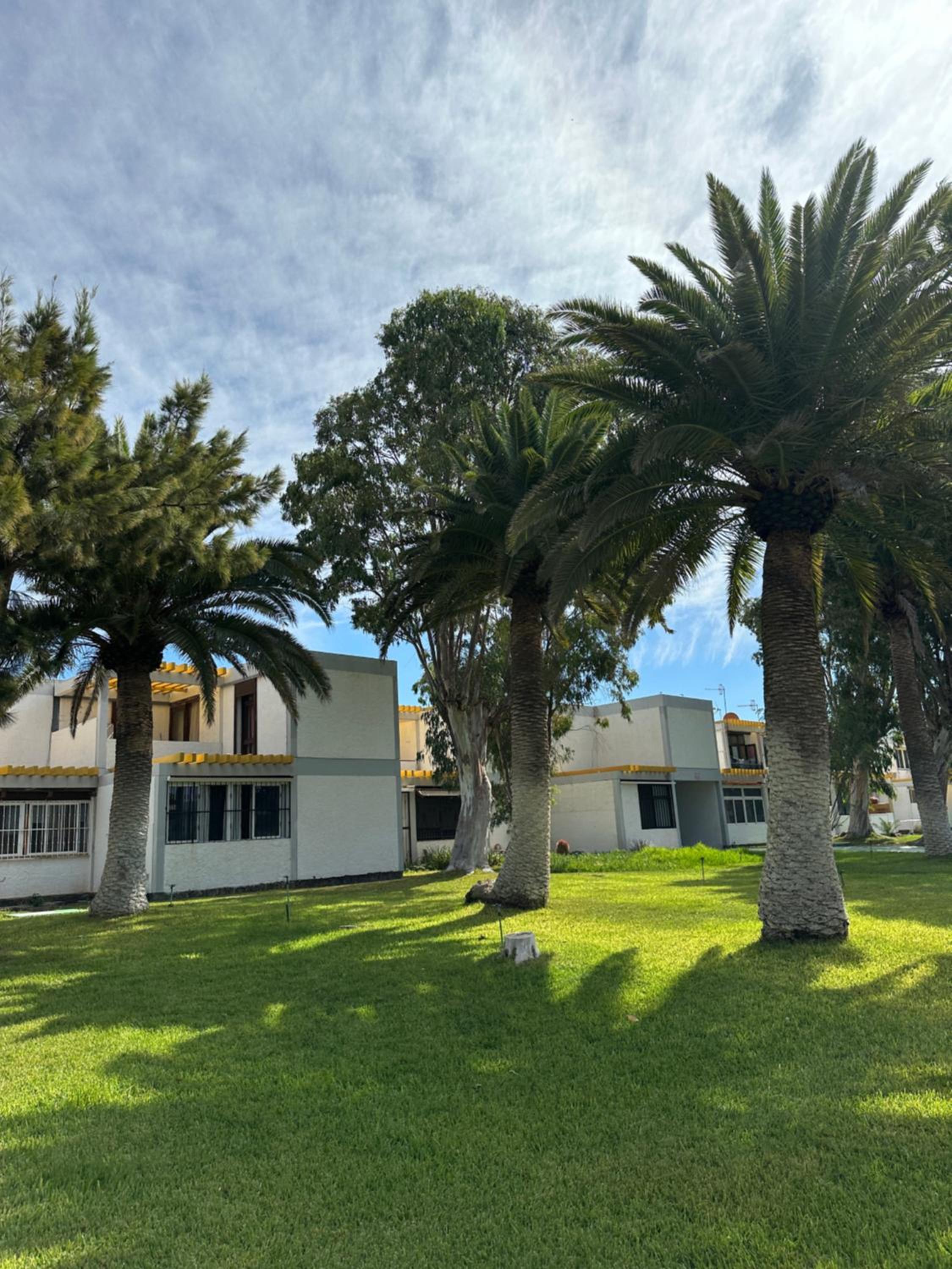 Hercules 2 bedroom Apartment, Costa del Silencio view 4
