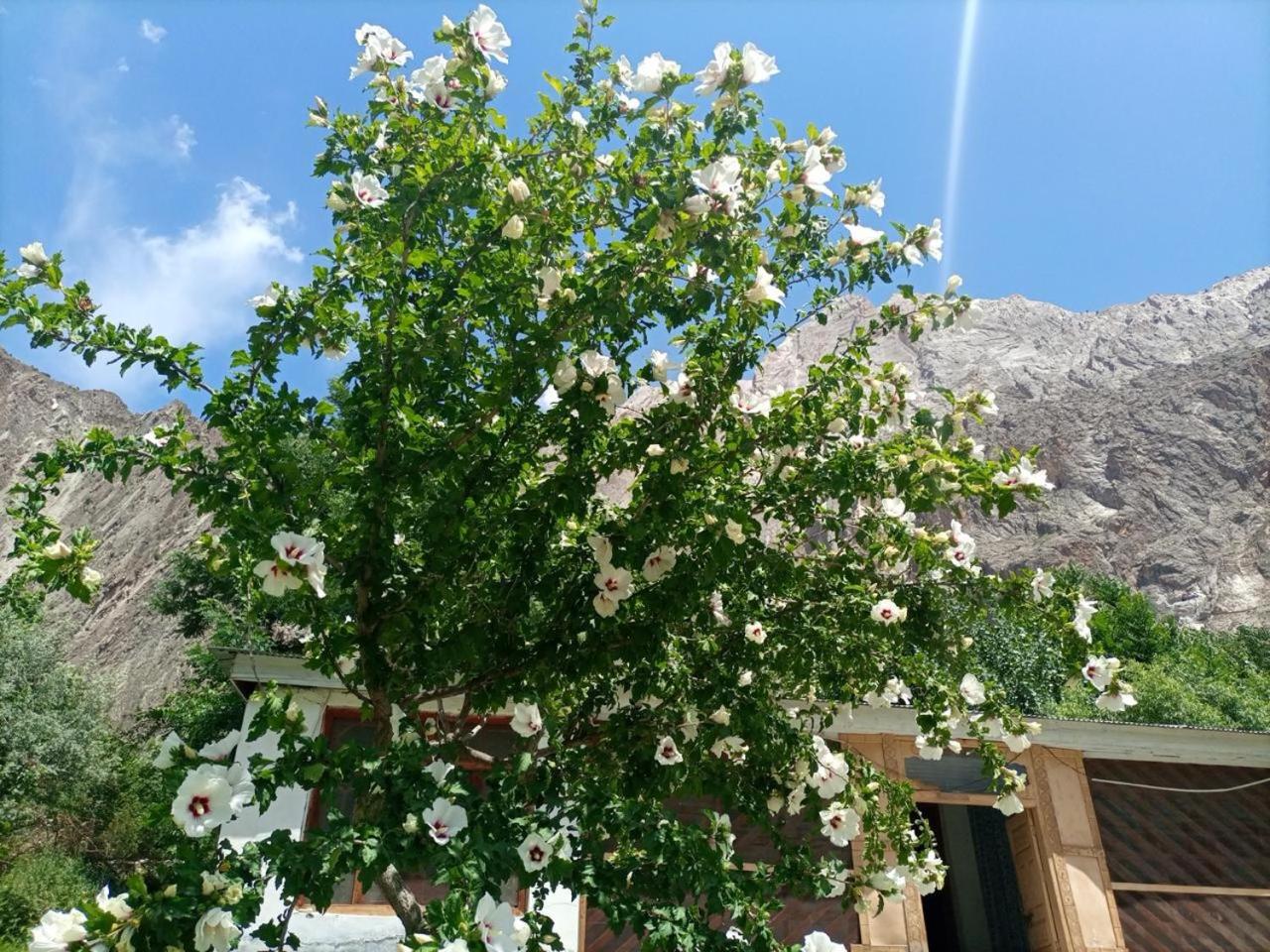 Siwakth Chitral Hutts view 5