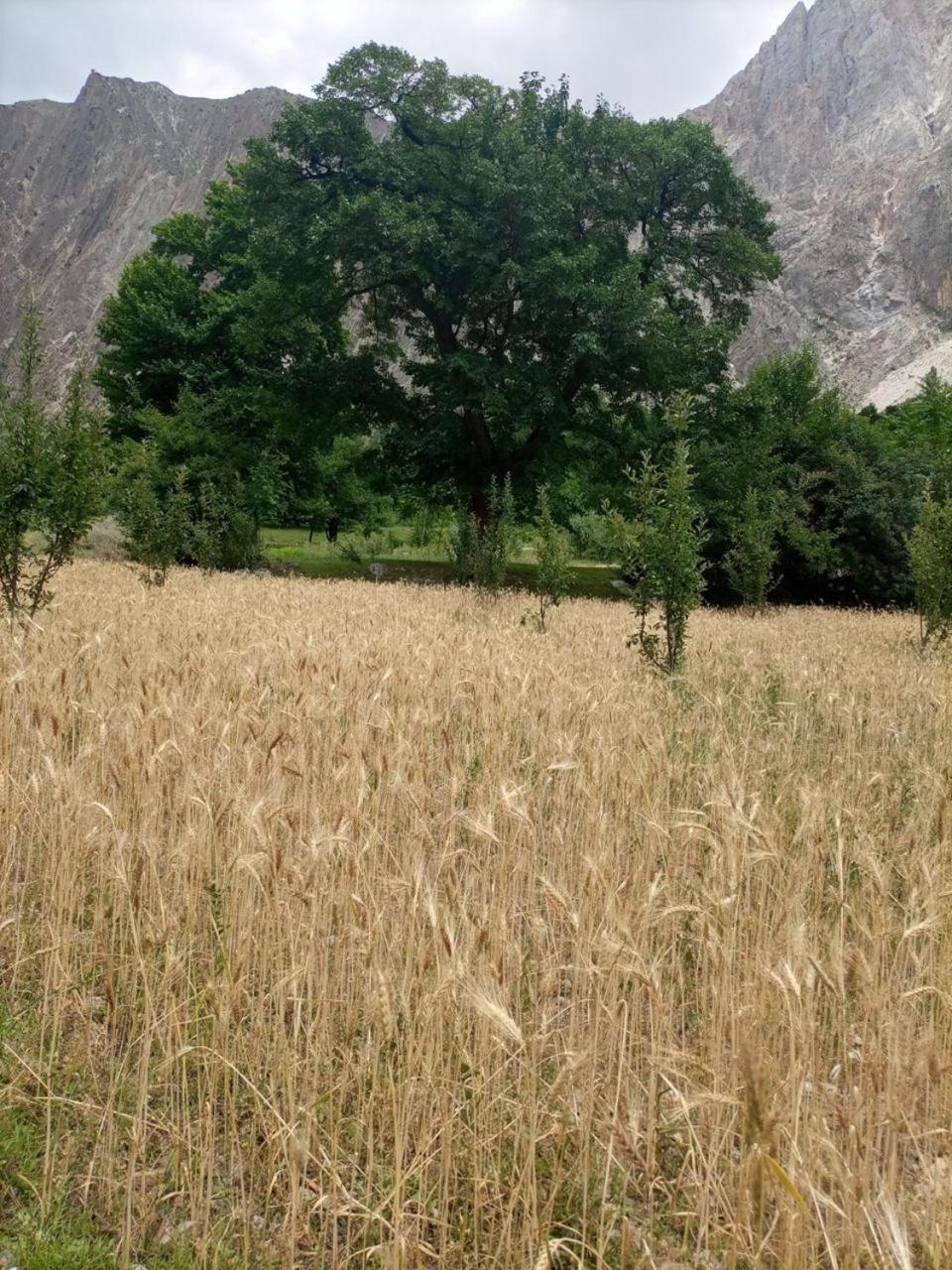 Photo 14