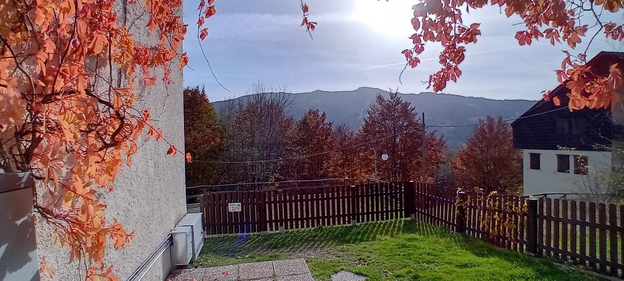 Monolocale Il Capriolo - Abetone