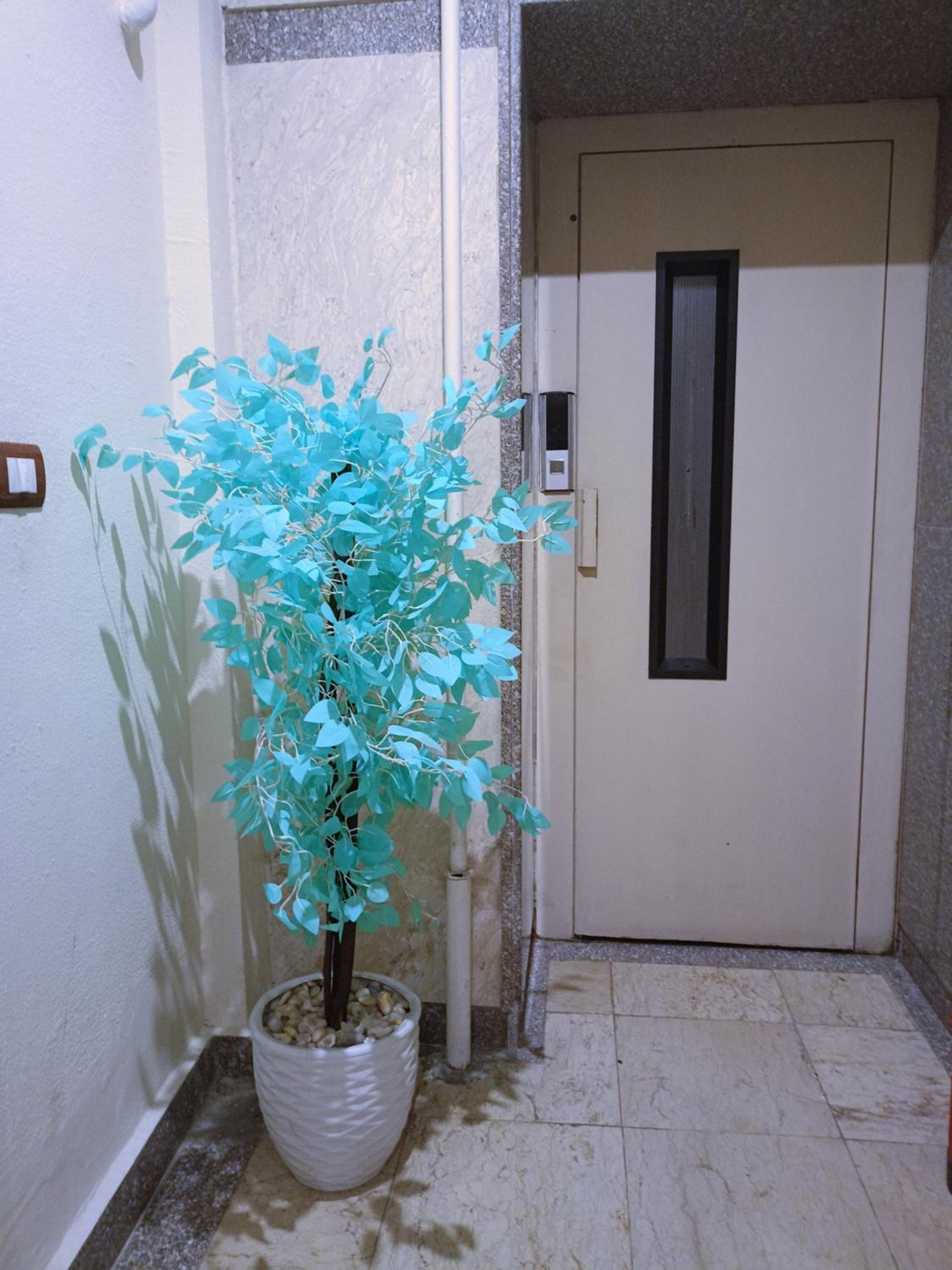 Louran Residence Hotel Apartments