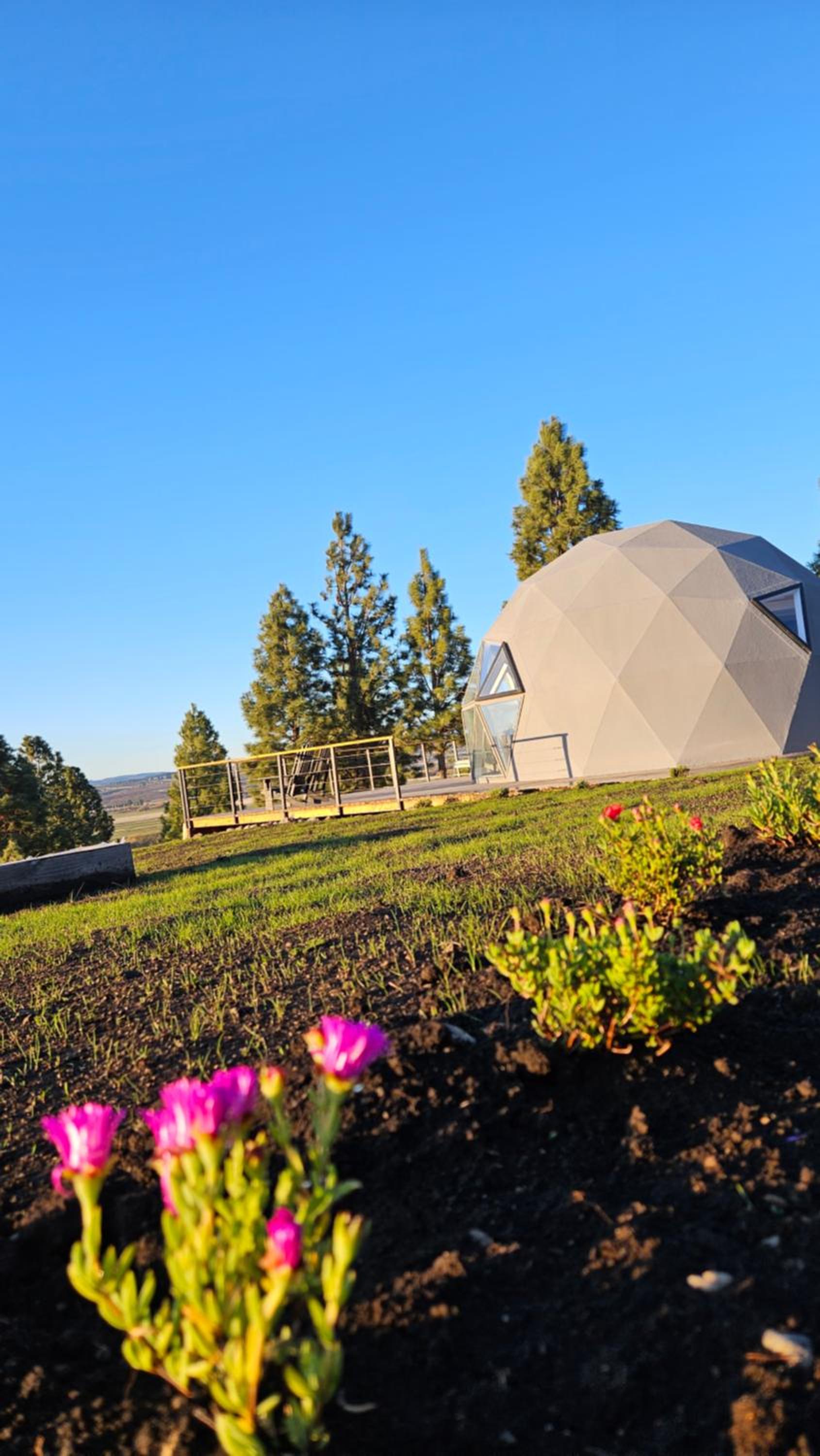 Nawal Glamping - Domos