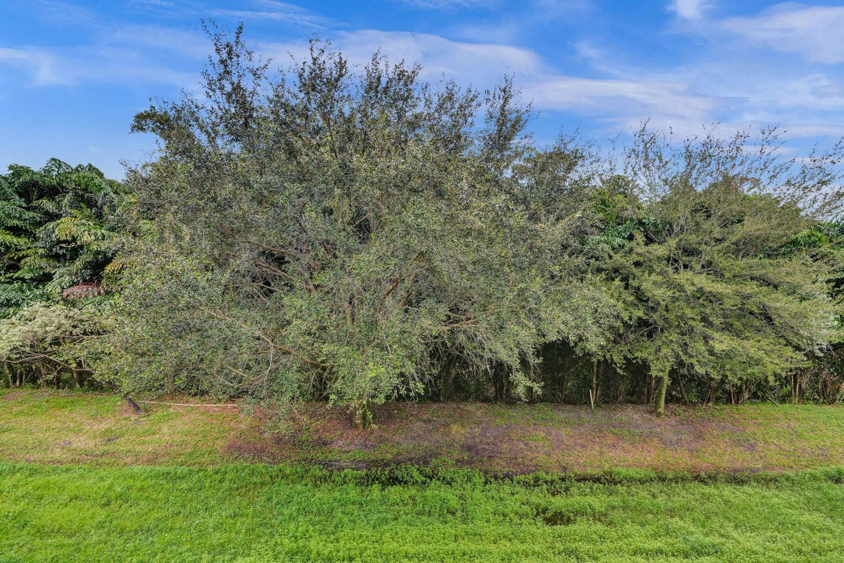 Villa Vista-2 Story w 3Bdrms & Golf View