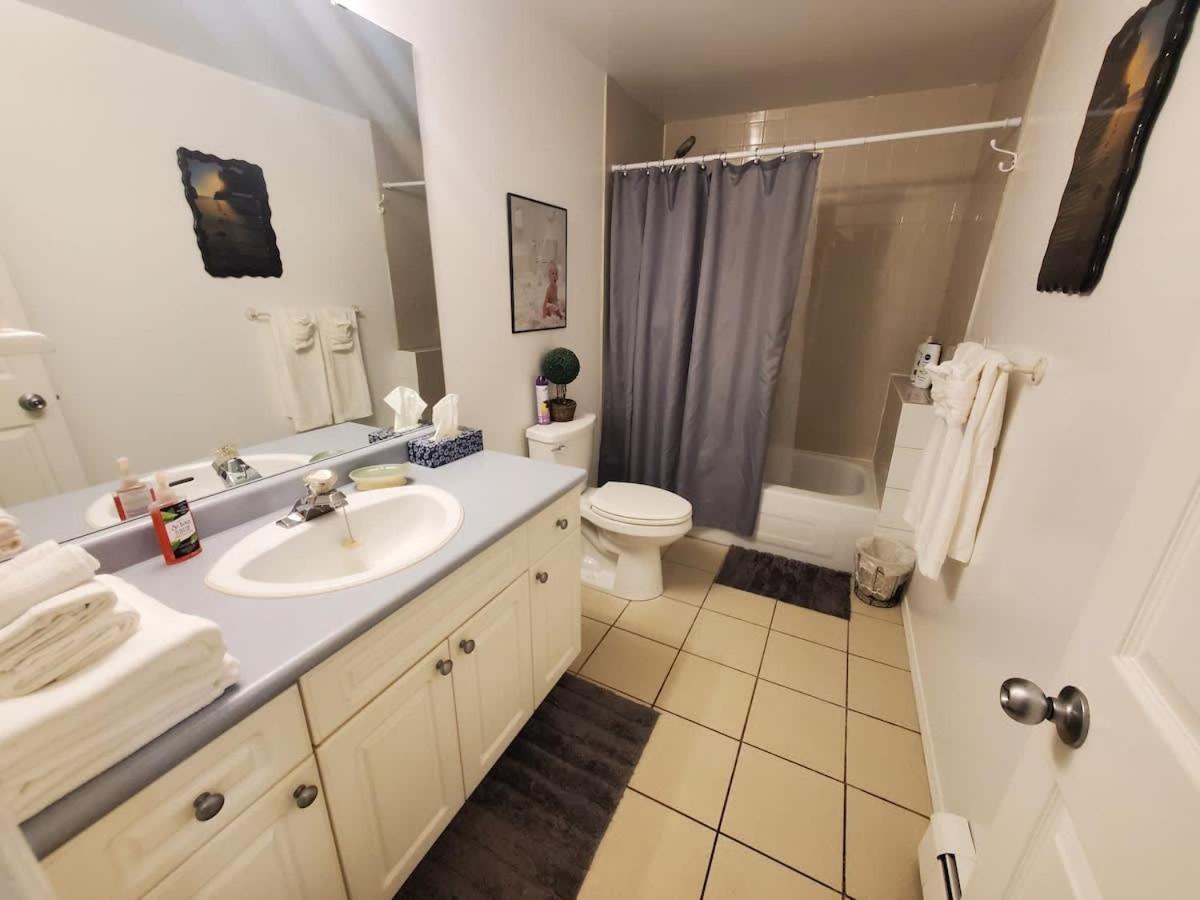 Convenient Area Glamorous suite