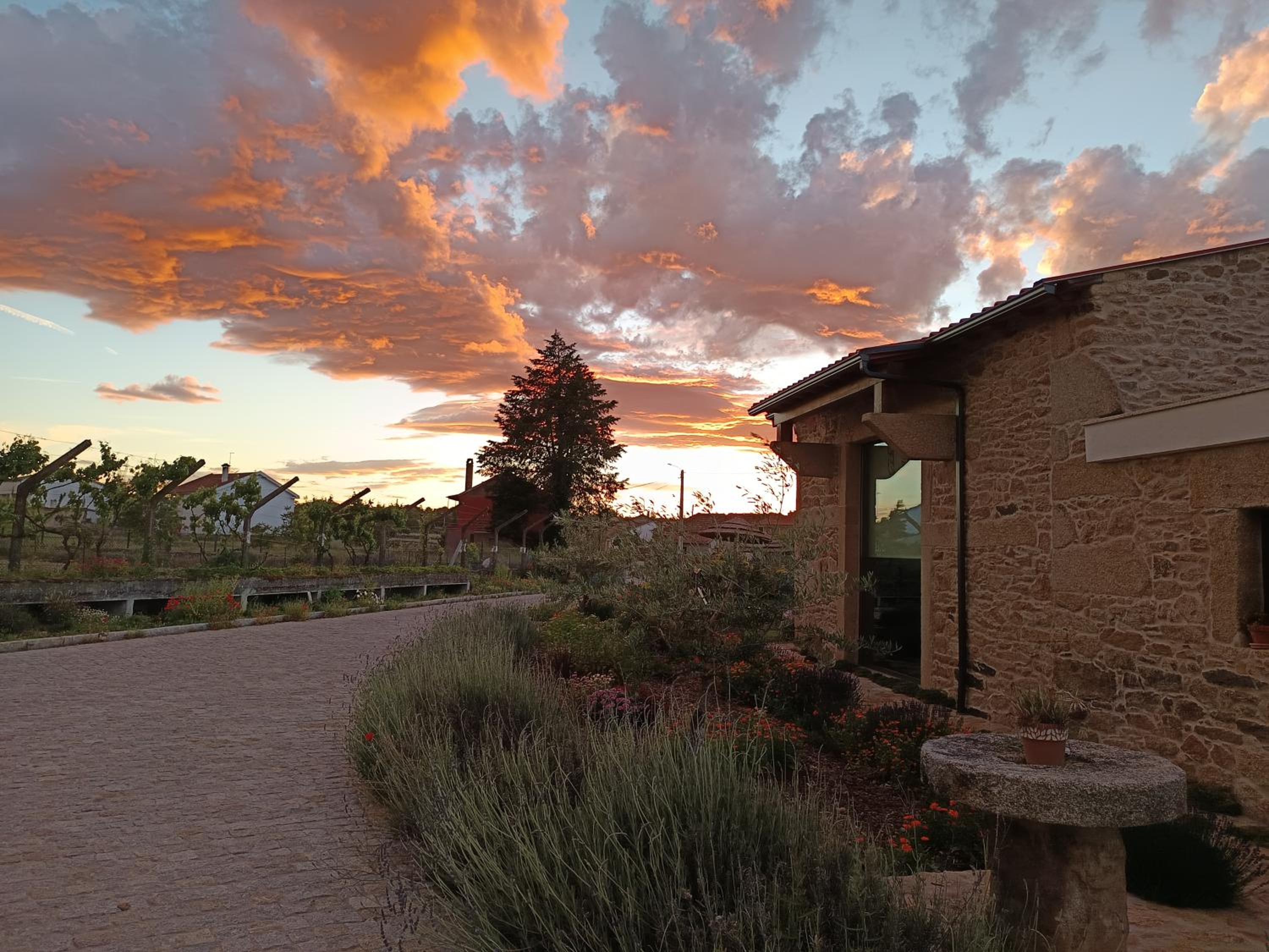 Casa D'Augusta - Agroturismo, Zdjęcie 18