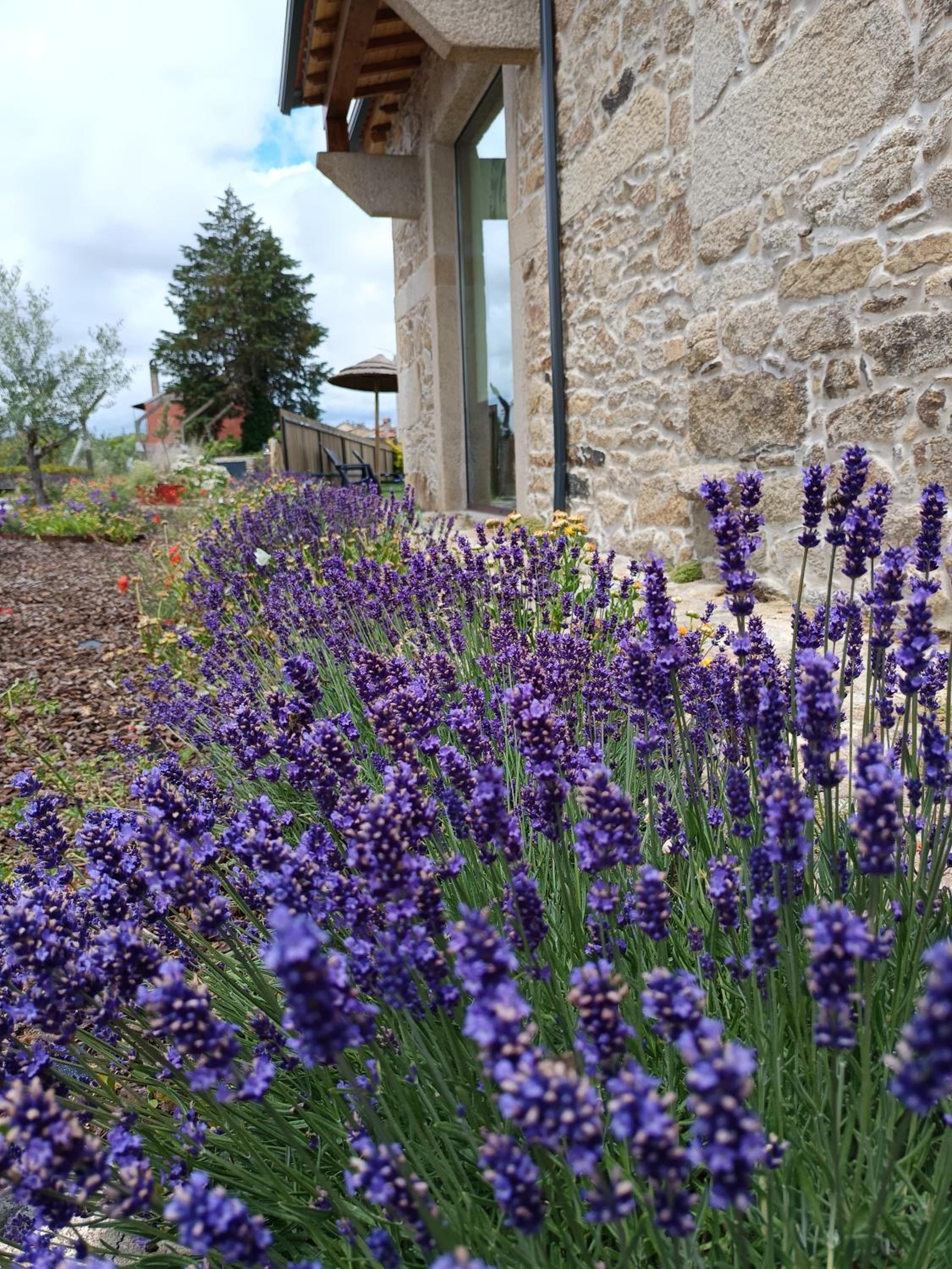 Casa D'Augusta - Agroturismo, Zdjęcie 21
