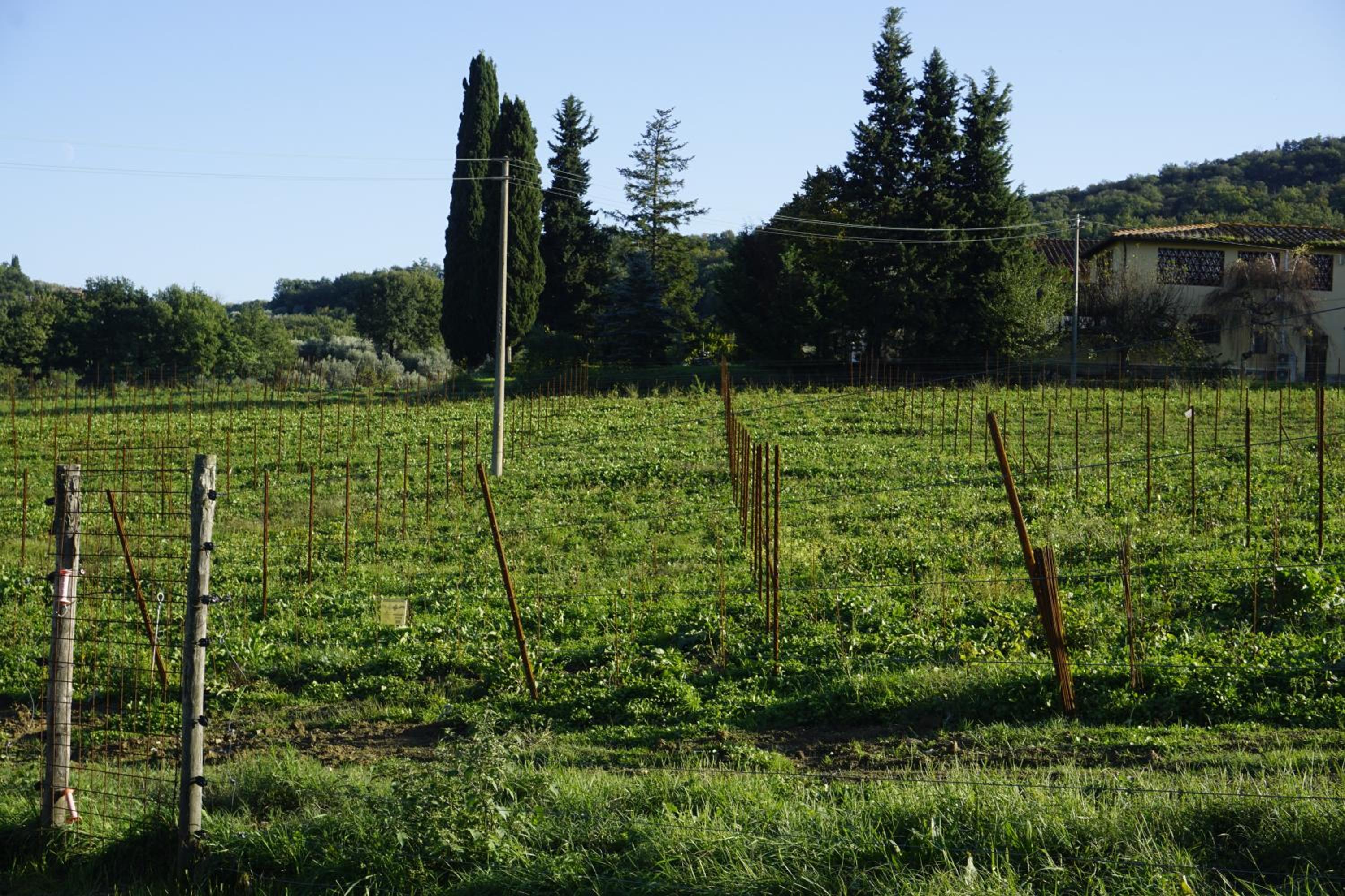 Appartamento indipendente sulle colline del Chianti a 30 kilometri da Firenze