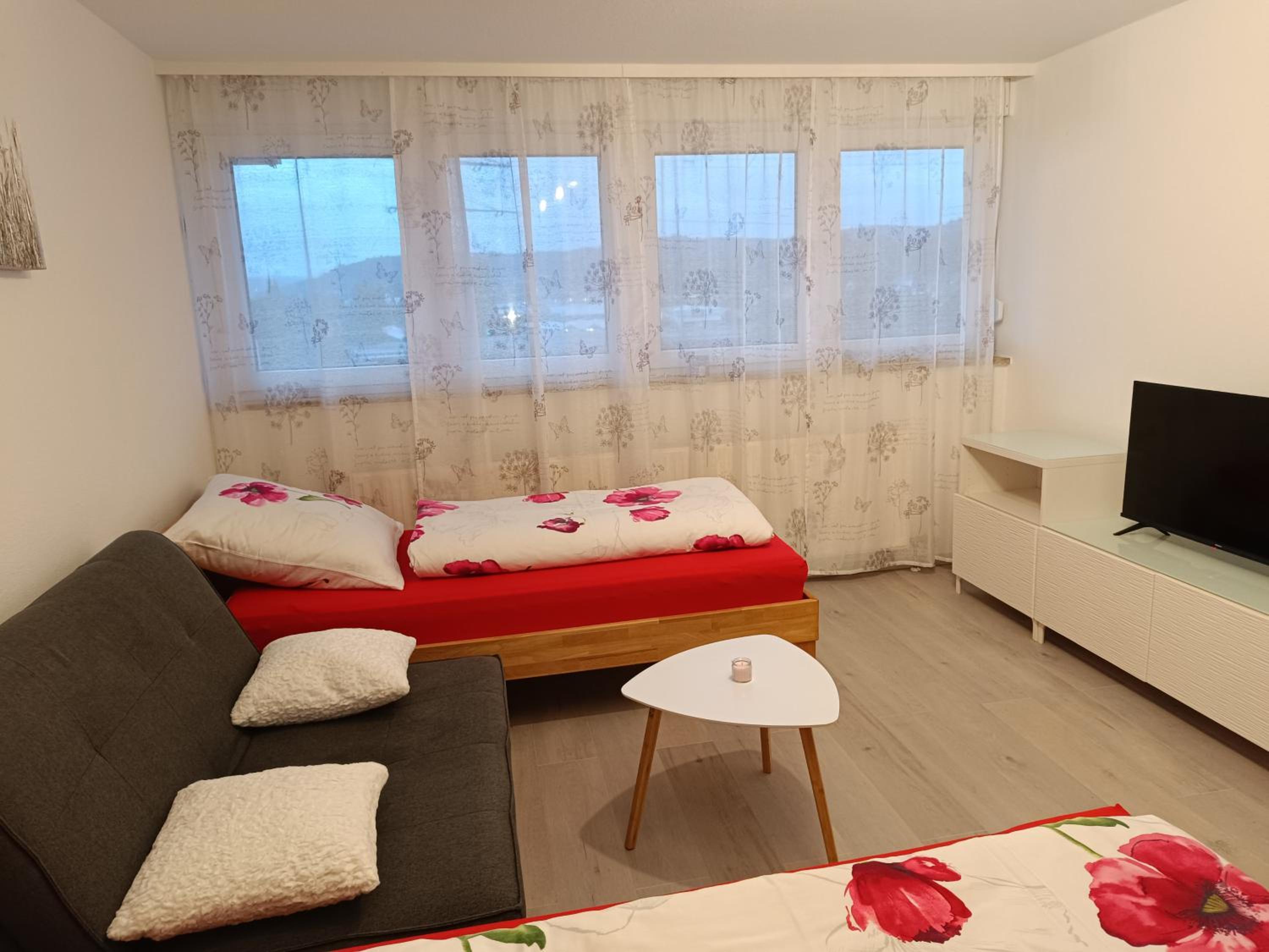 Apartment Lahr 50