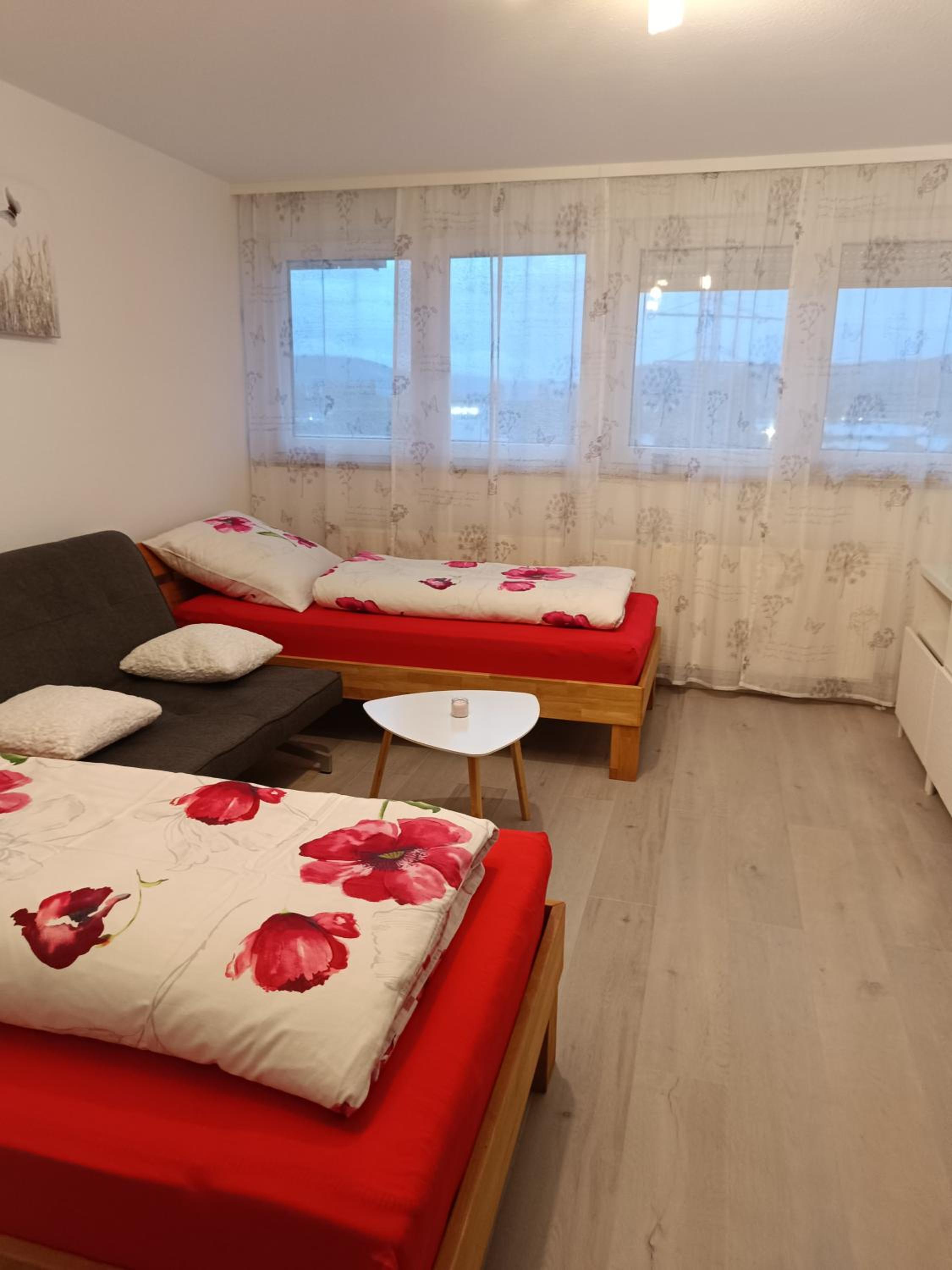 Apartment Lahr 50