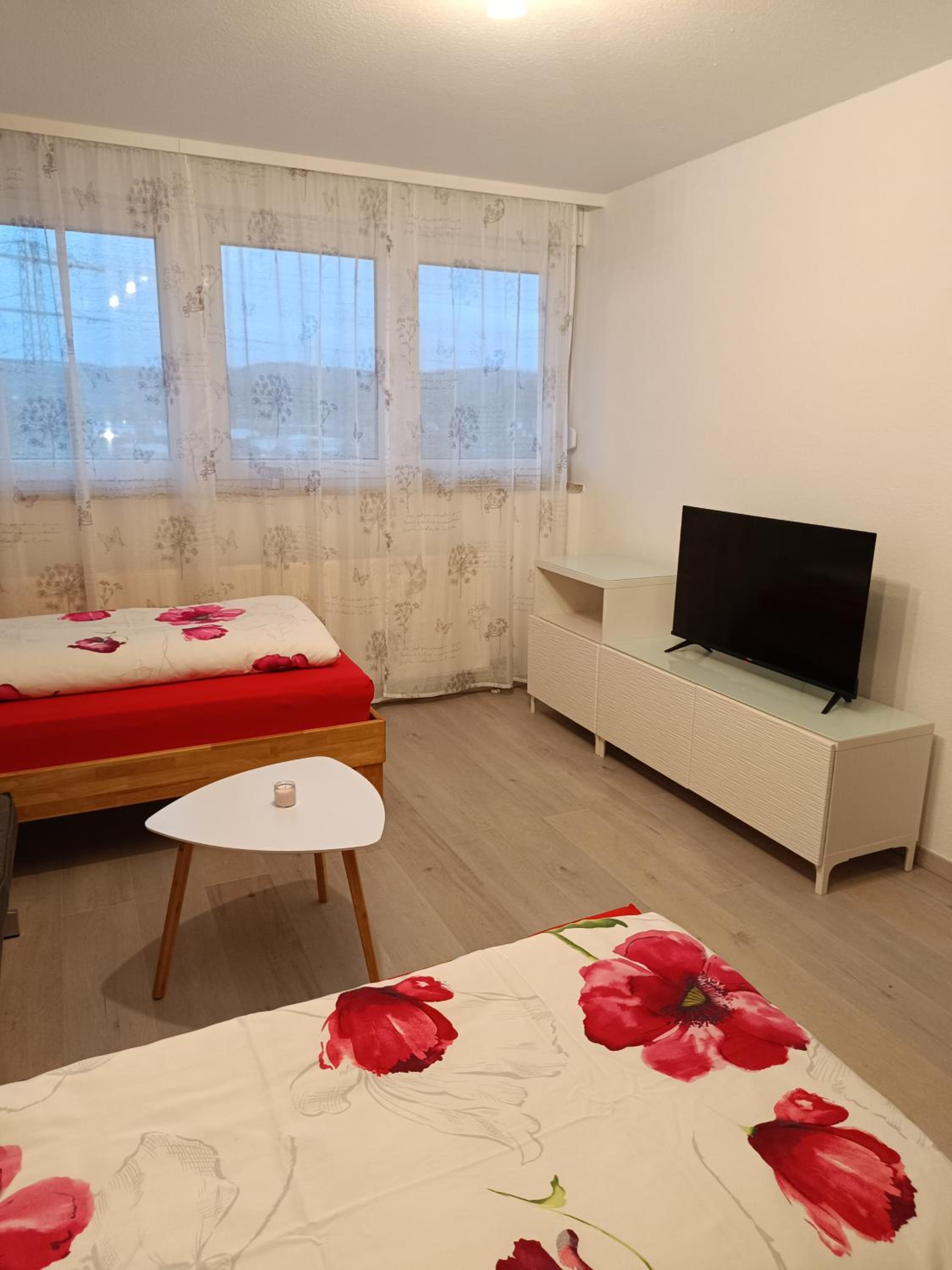 Apartment Lahr 50