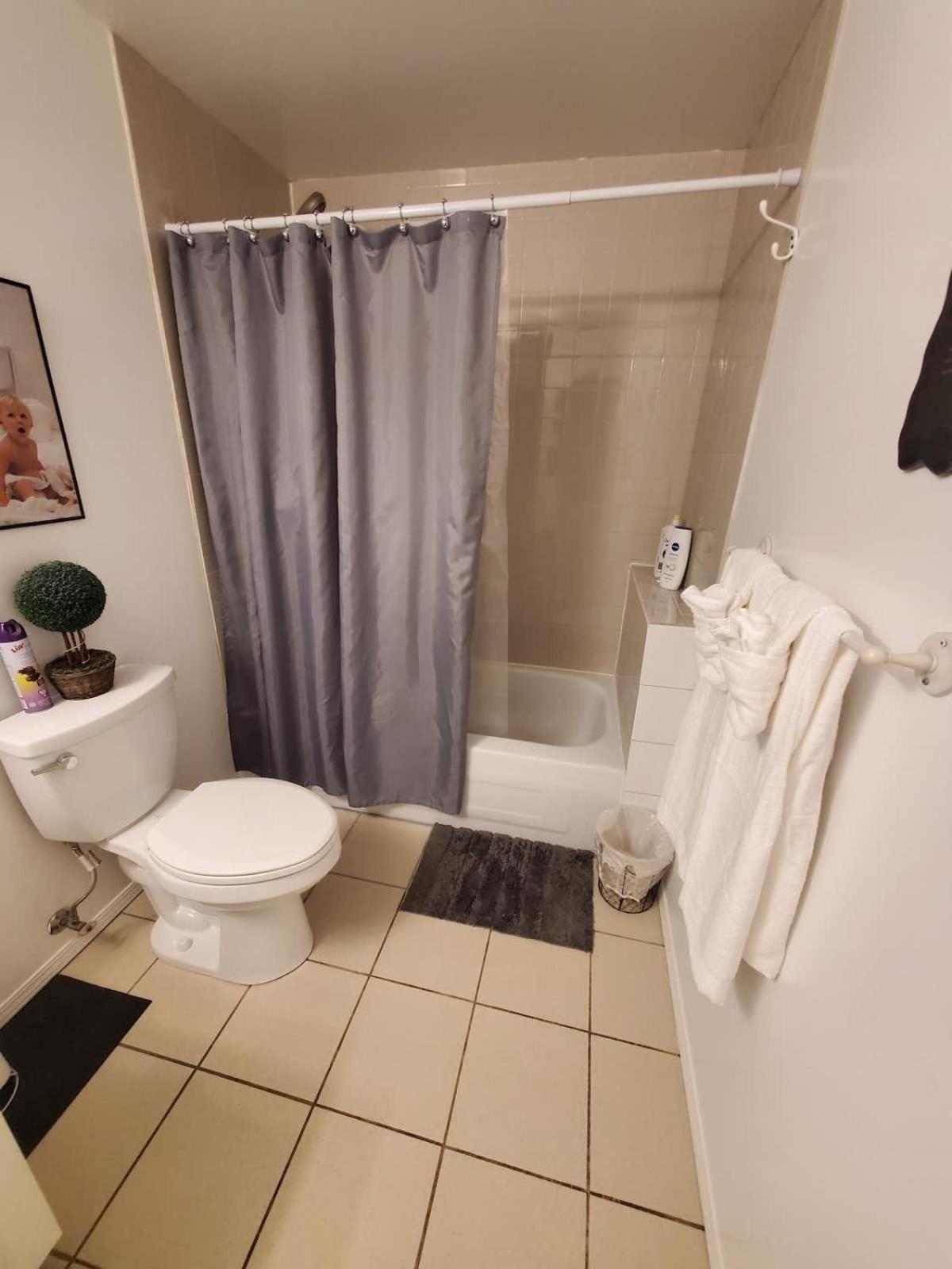 Convenient Area Glamorous suite