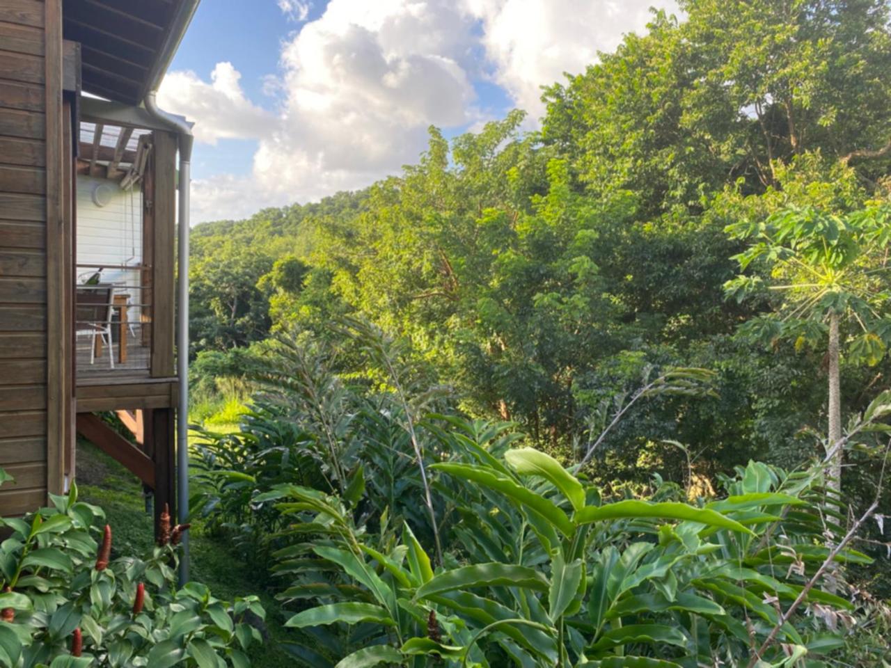 Les Cottages EST et OUEST Coco Cannelle