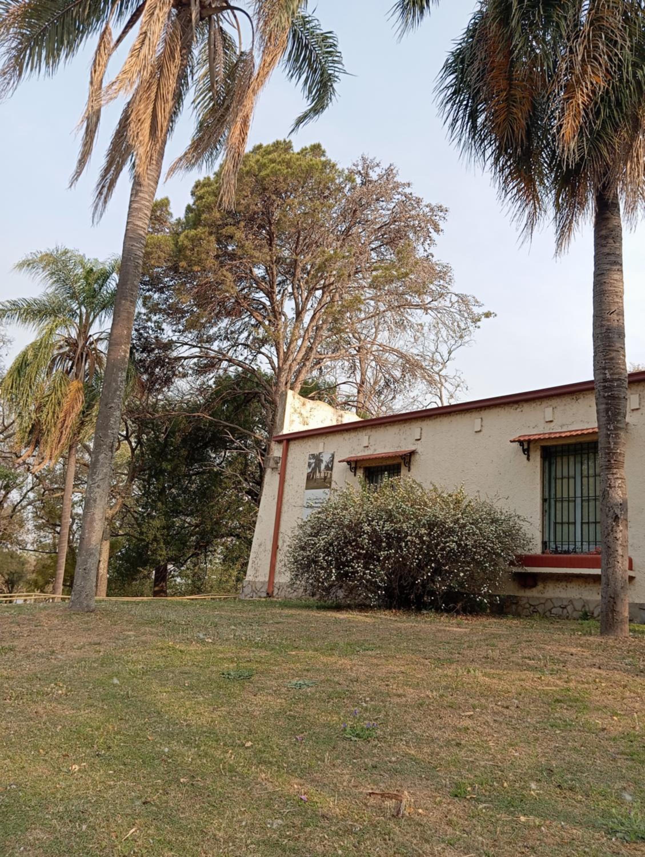 Proyectos FFRA Dpto Tempora