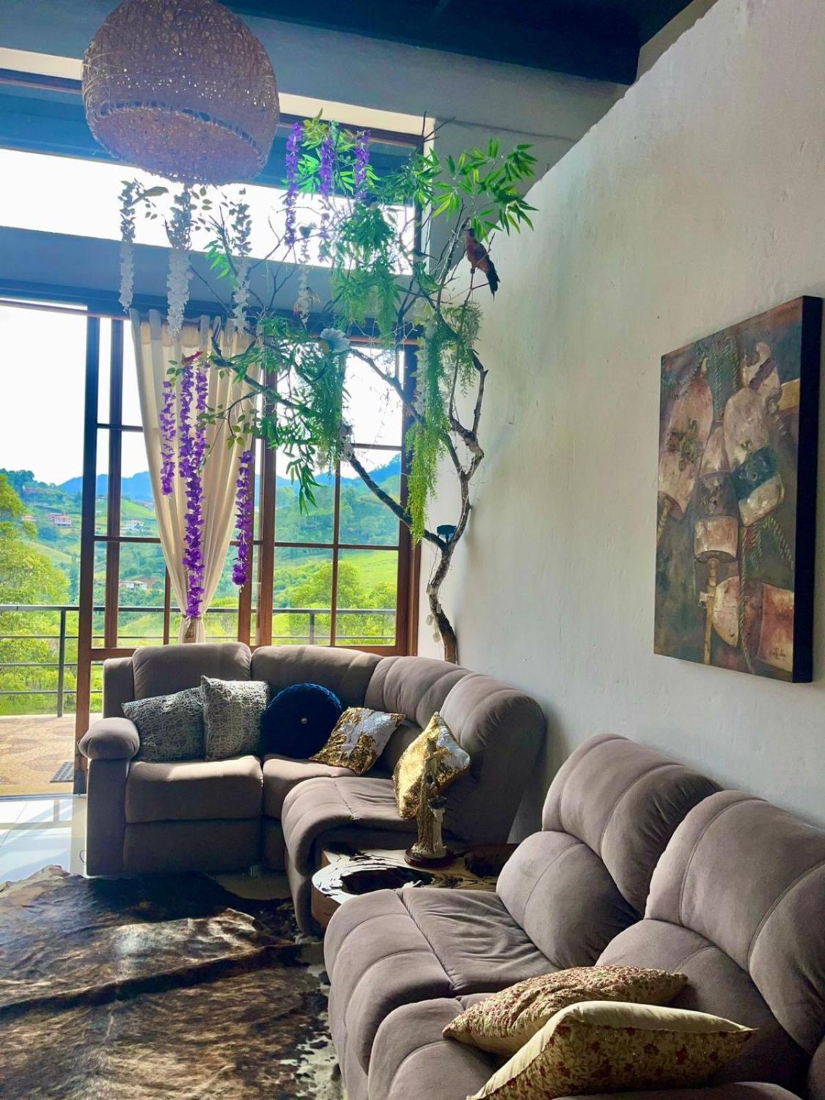 Finca LA SERENIDAD, JERICÓ
