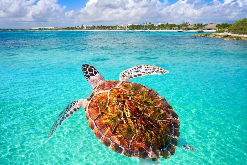 other