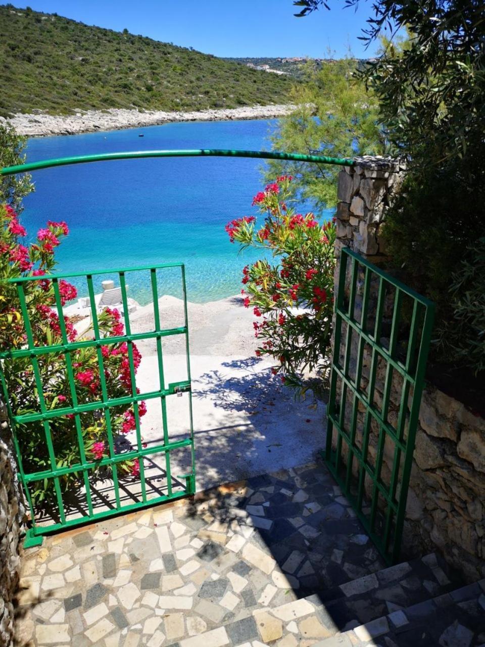 Apartments Dragi