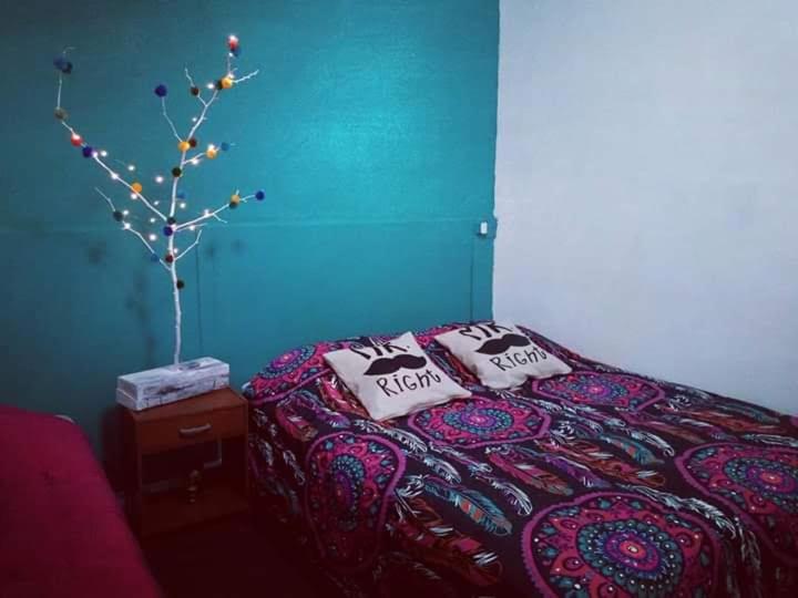 Don Poncho Hostel