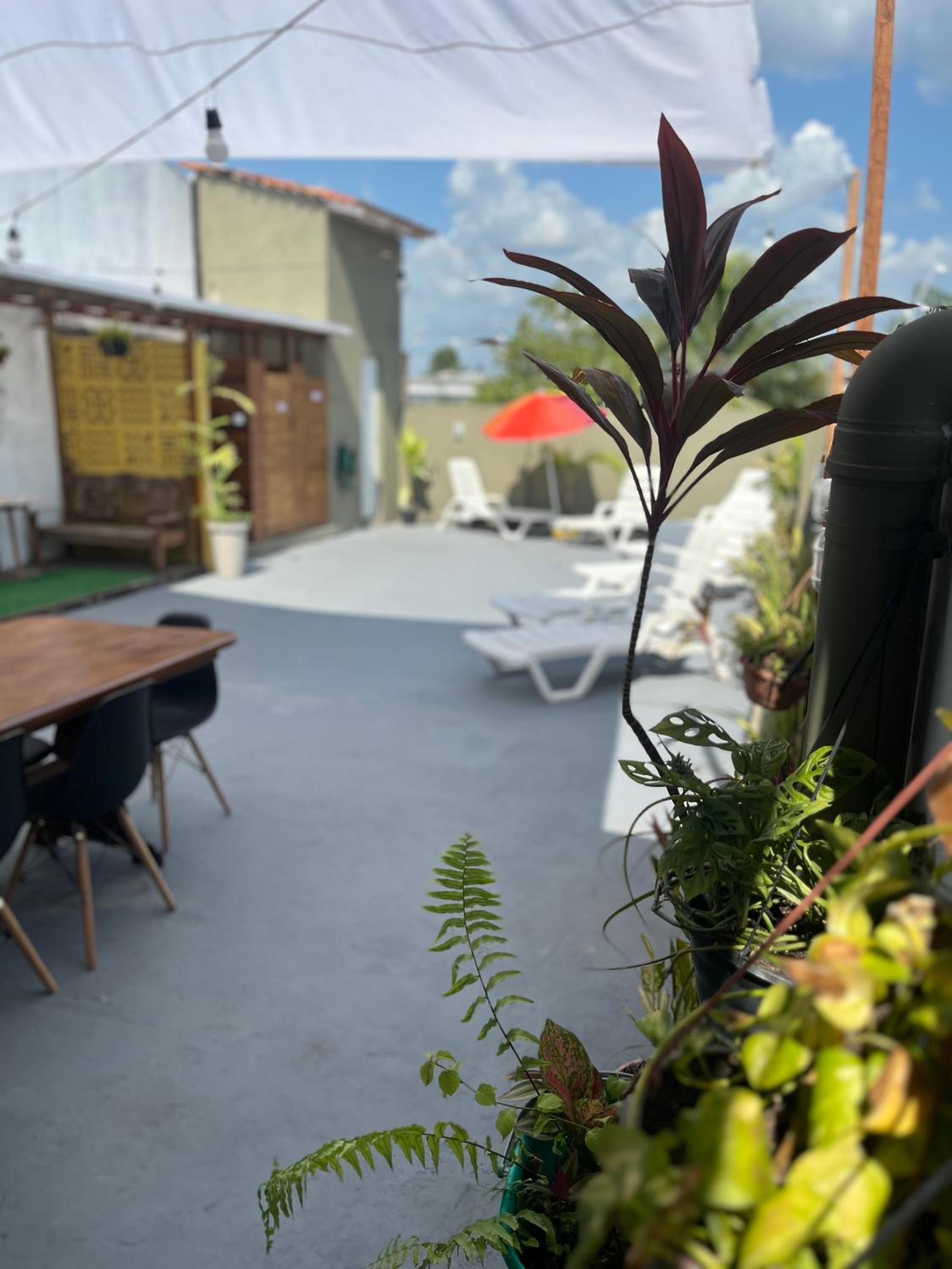 Jambu Hostel Belém