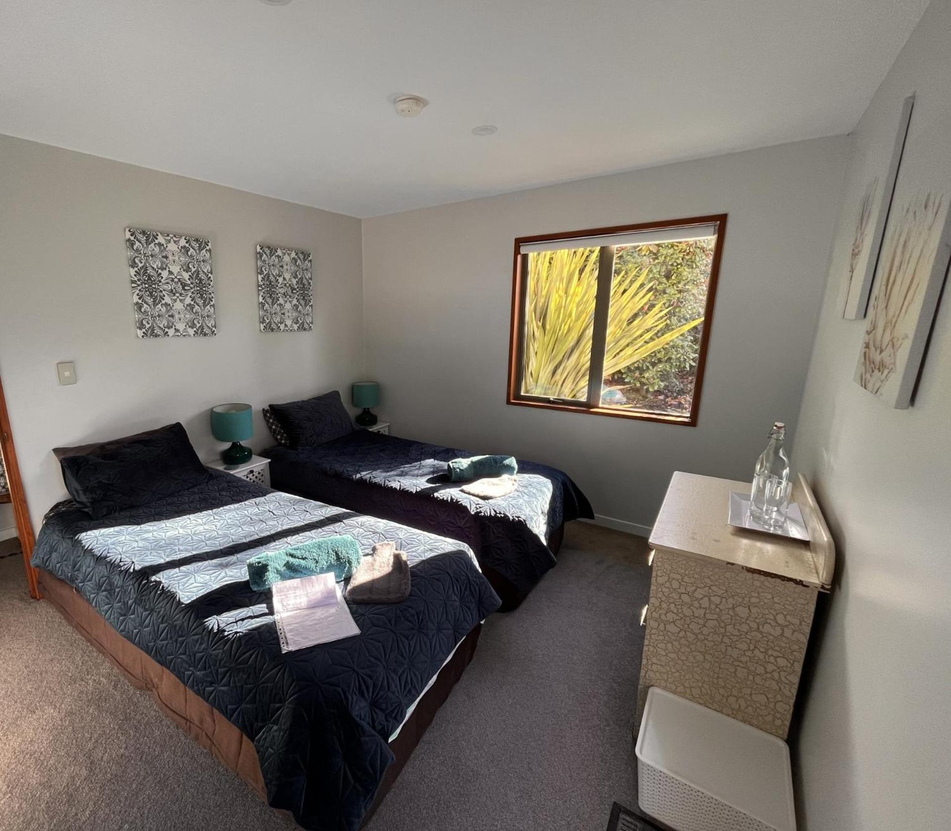 Aspen View - King or Twin view 2