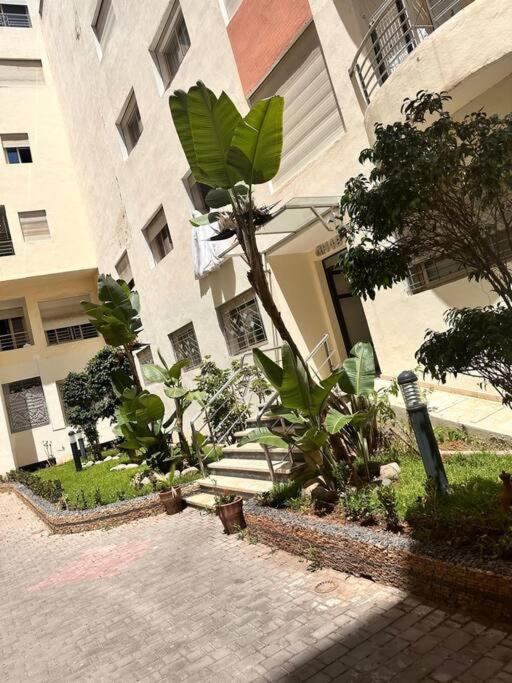 un bel appartement à côté de la corniche view 5