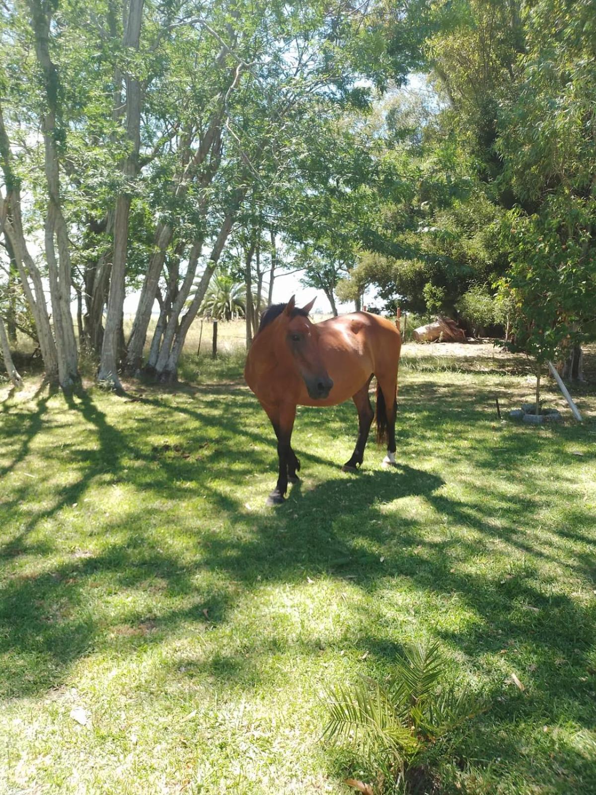 Chacra Don Canale