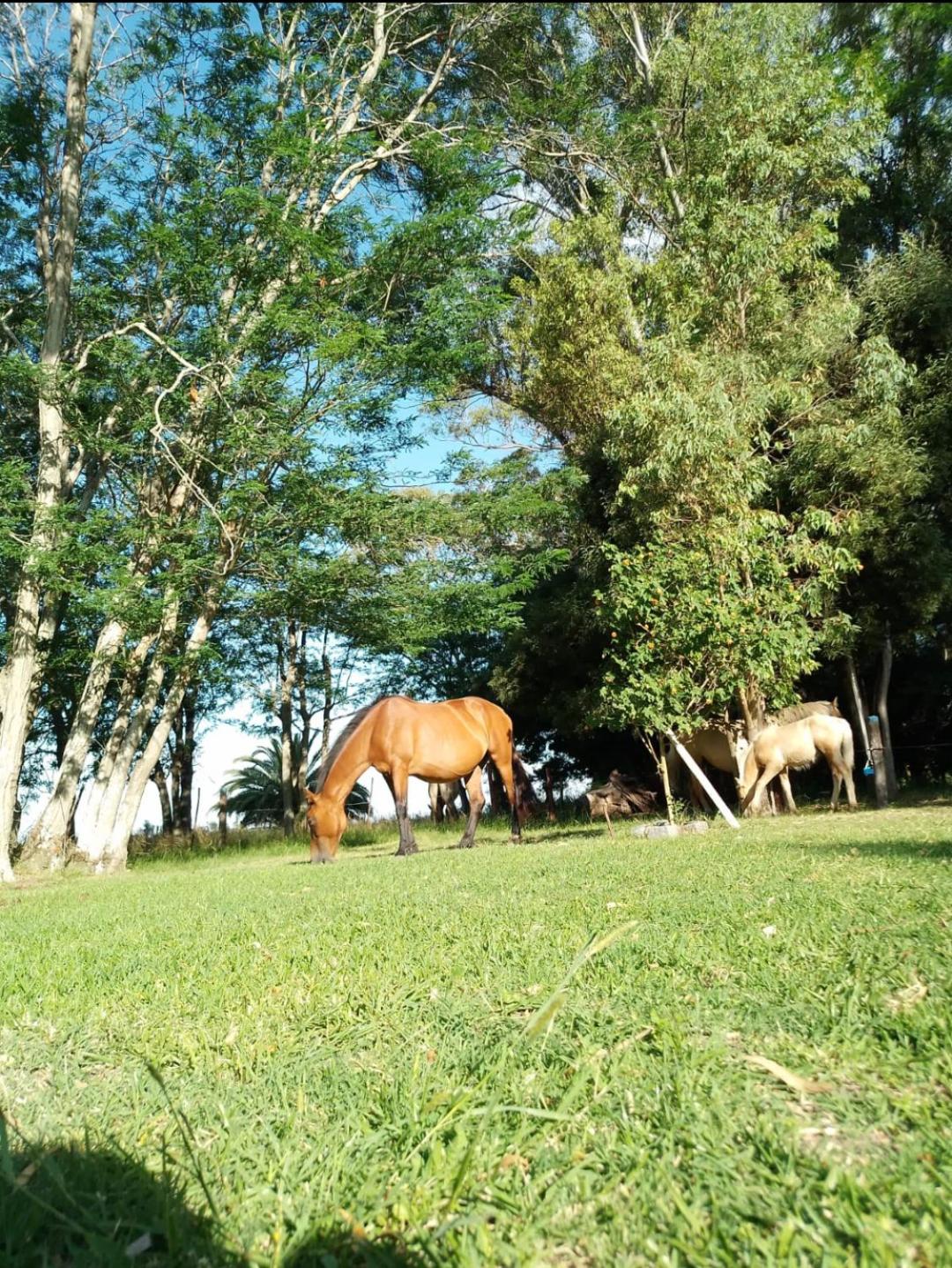Chacra Don Canale