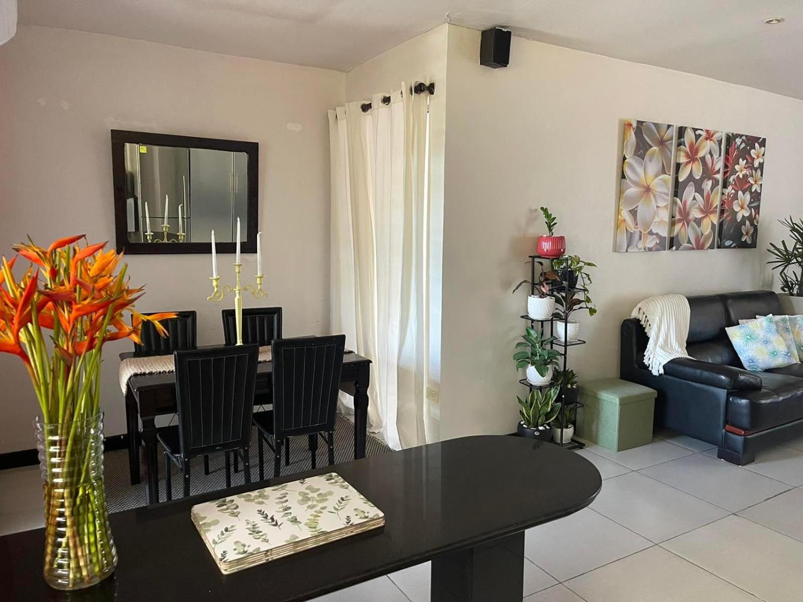 2 Bedroom Apartment in Suva City - view 16