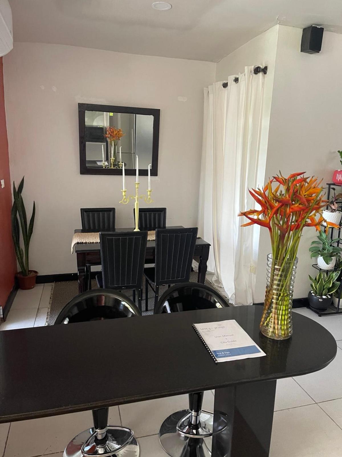 2 Bedroom Apartment in Suva City - view 18
