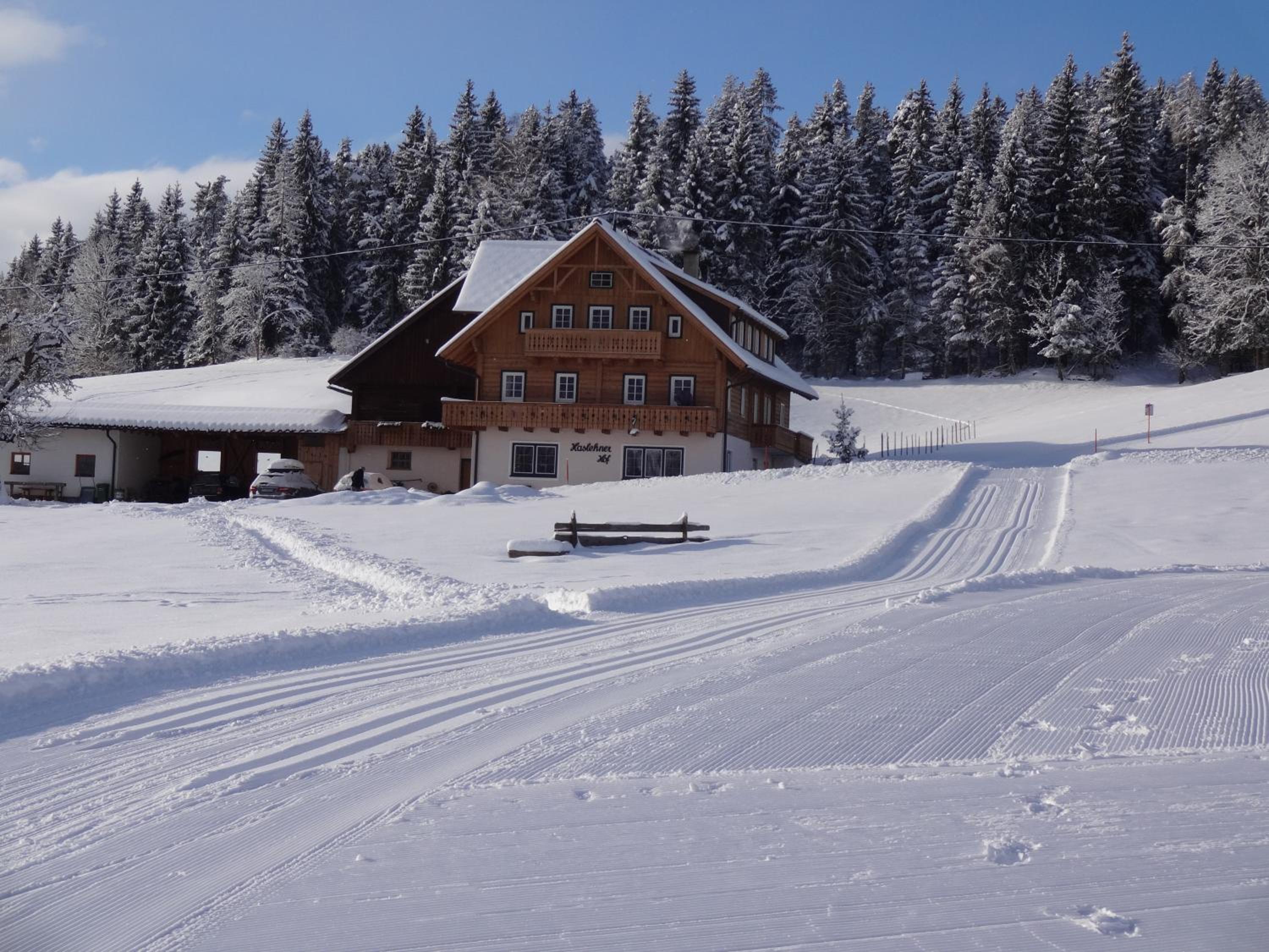 Haslehnerhof