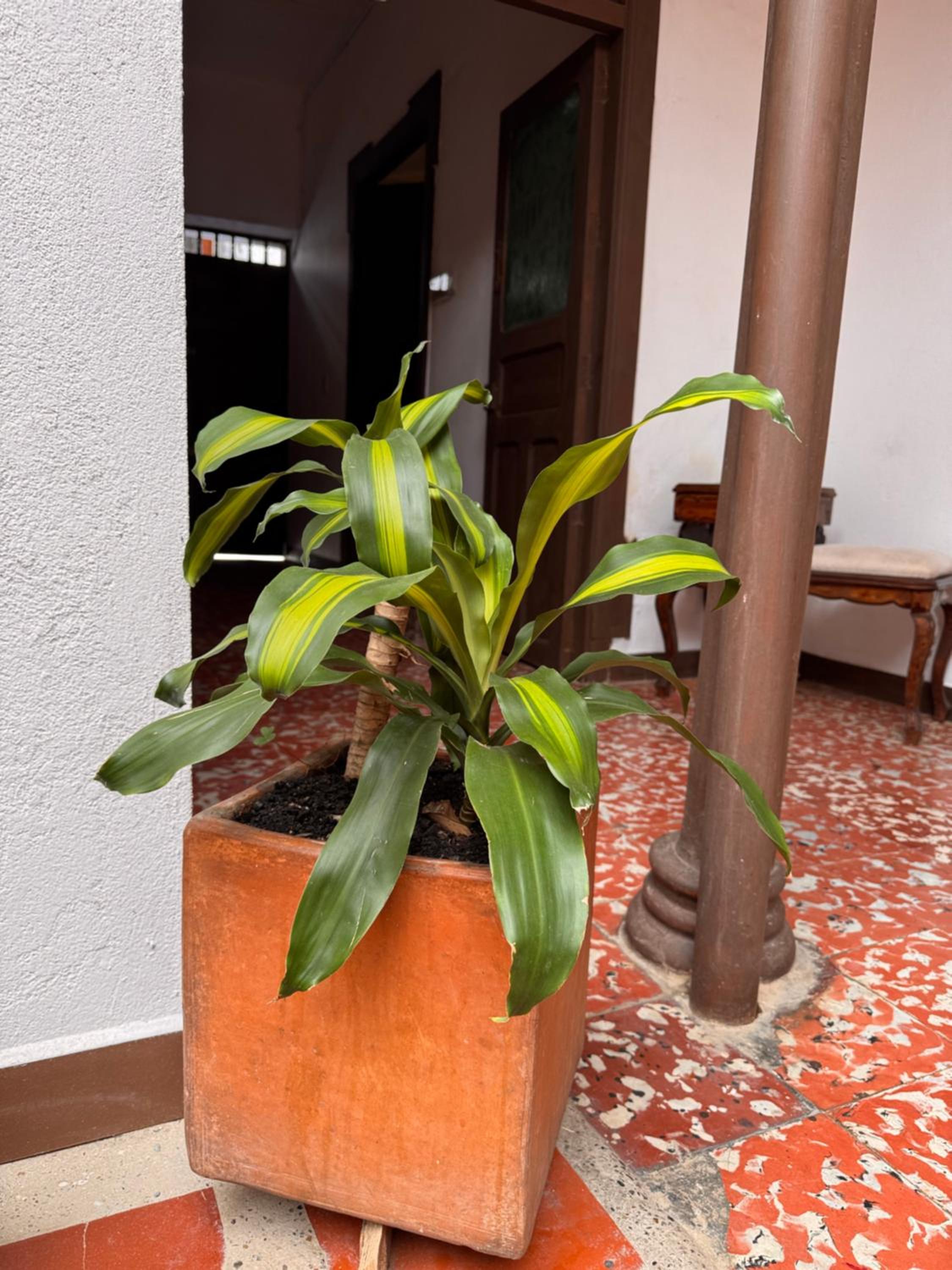Vivienda turística Casa Rionegro Colonial