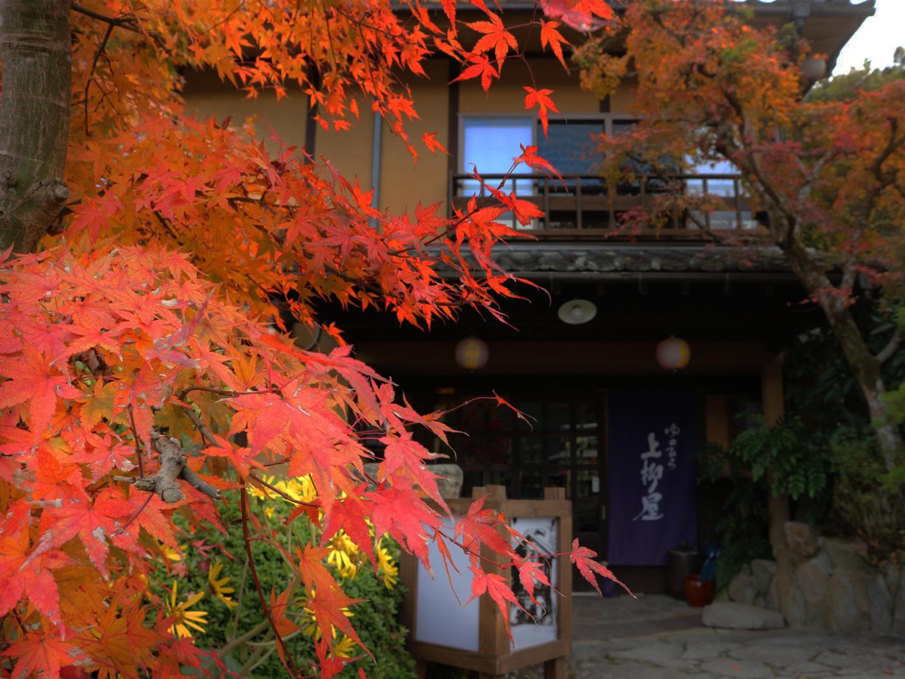 Yunohira Kamiyanagiya