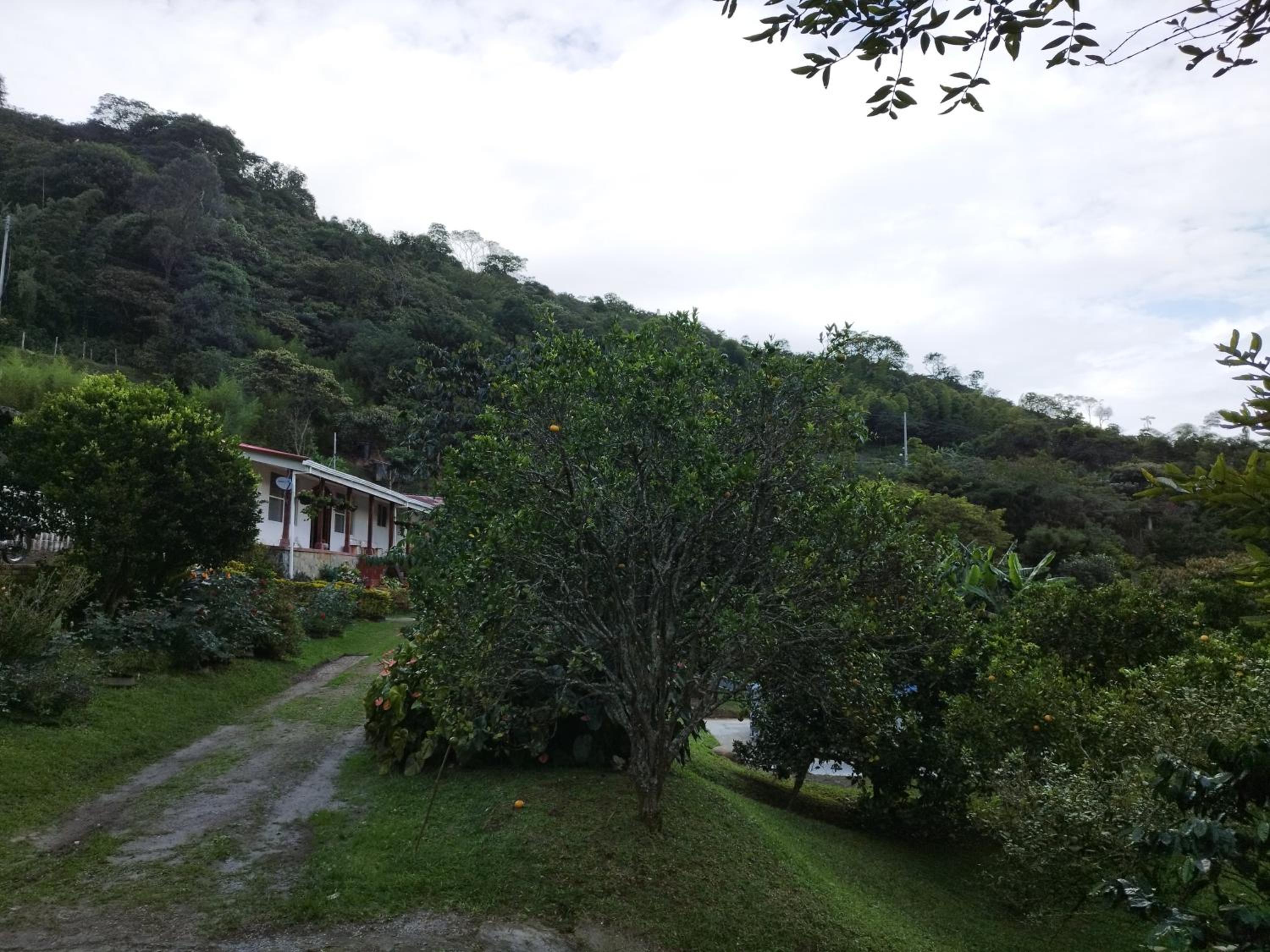 Finca Villa Hailey