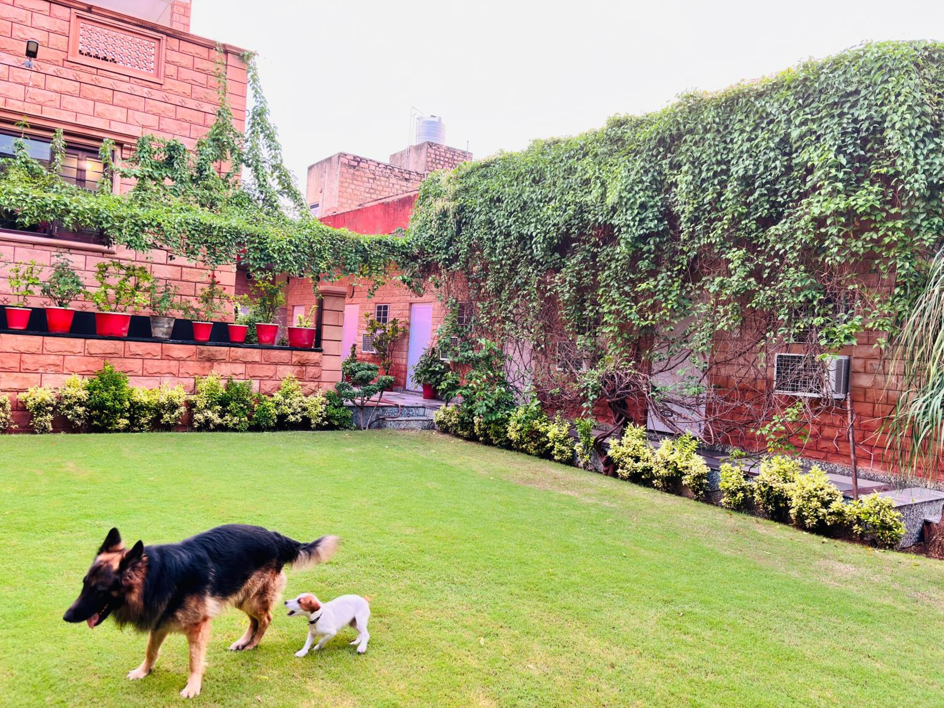 Liliyan Palace Guest house