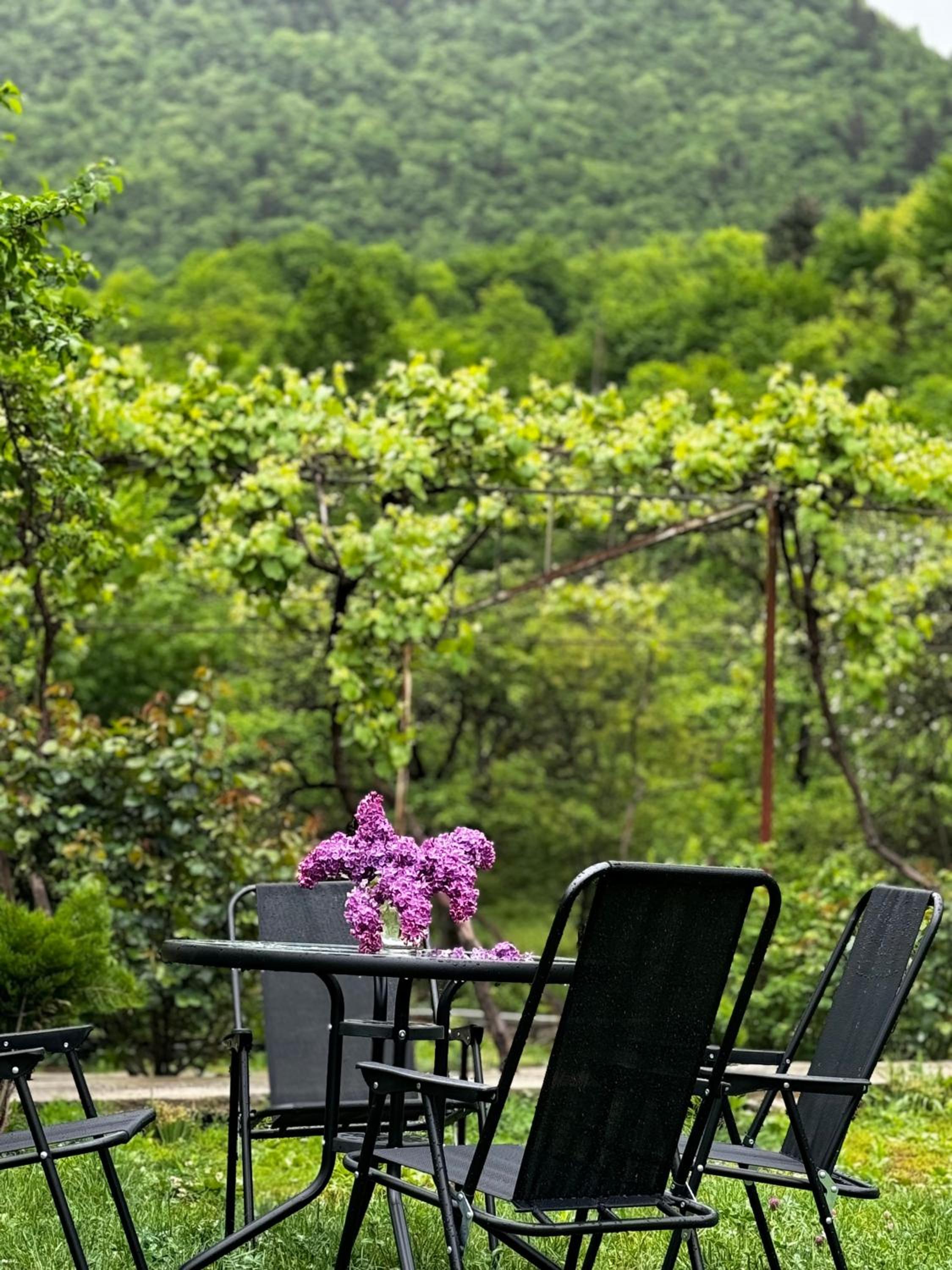 Family hotel mountain panorama