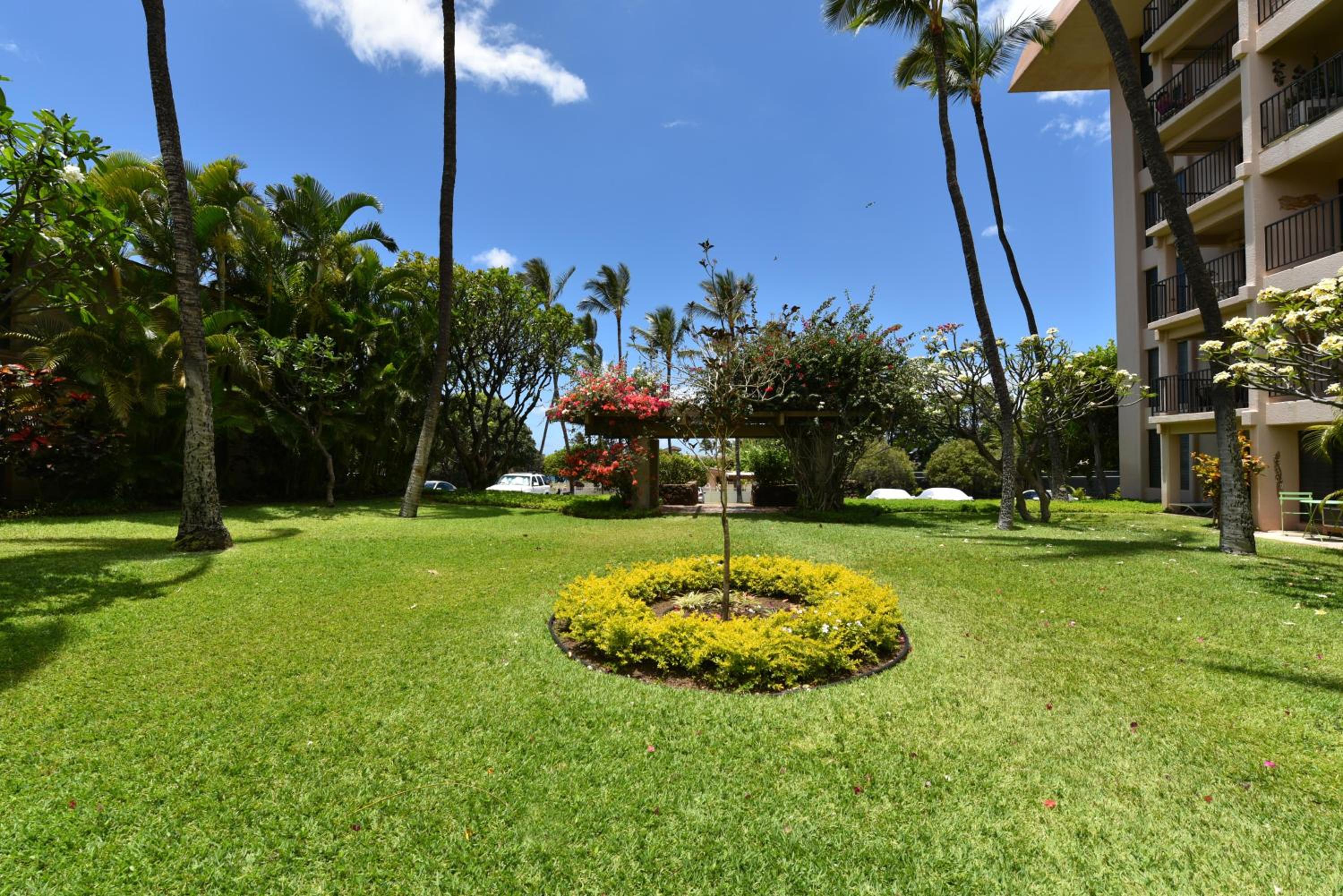 Kihei Akahi D402 · AKH D402 2BD Condo Across Beach Ocean View AC