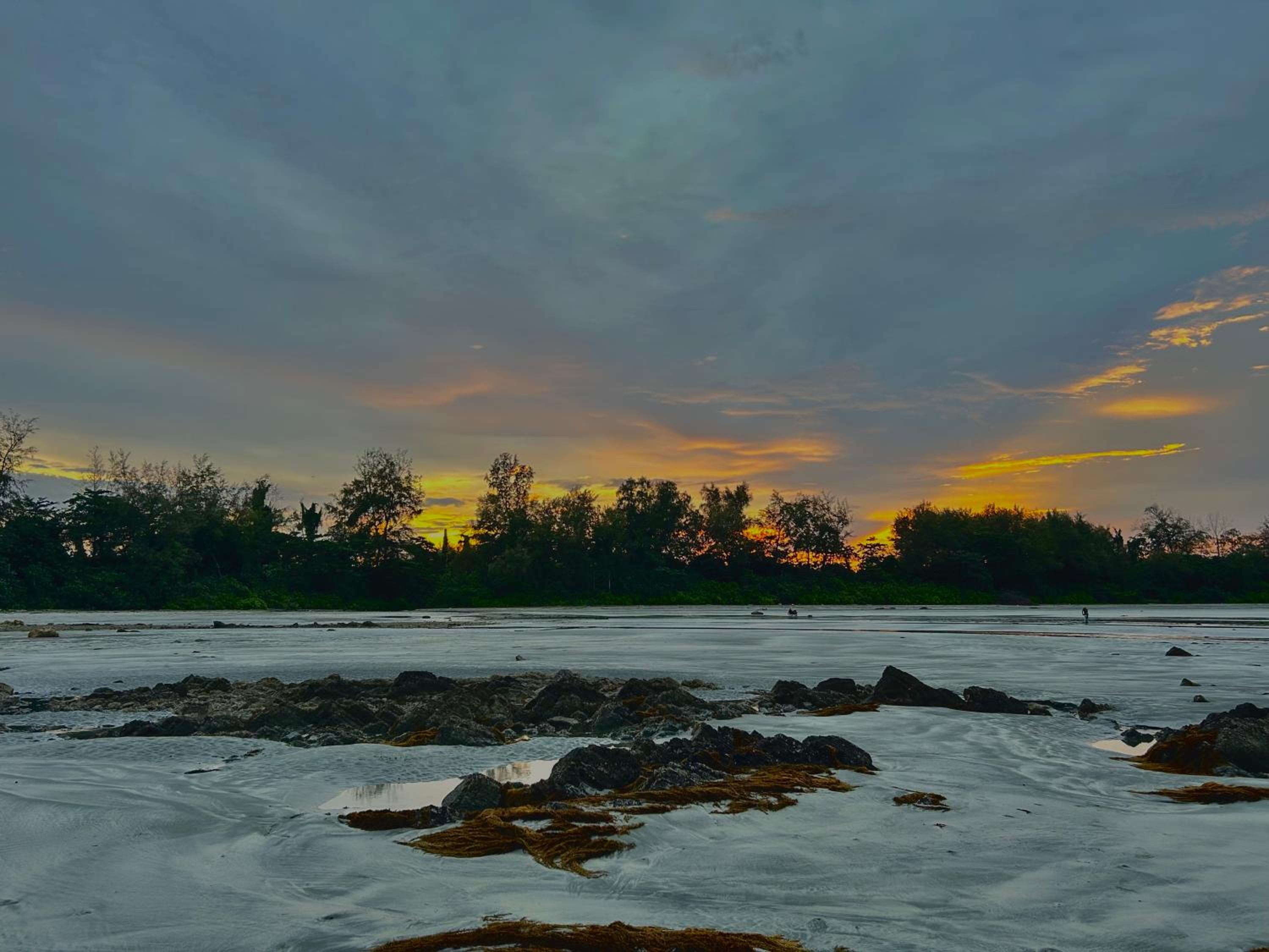 Tiara desaru beach photo 3