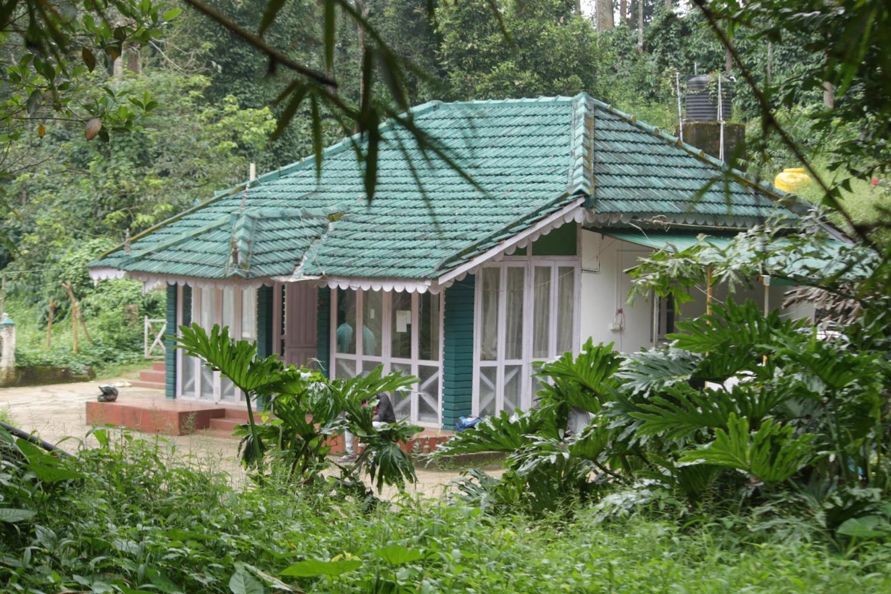 Sunsee coffee plantation estate HOMESTAY