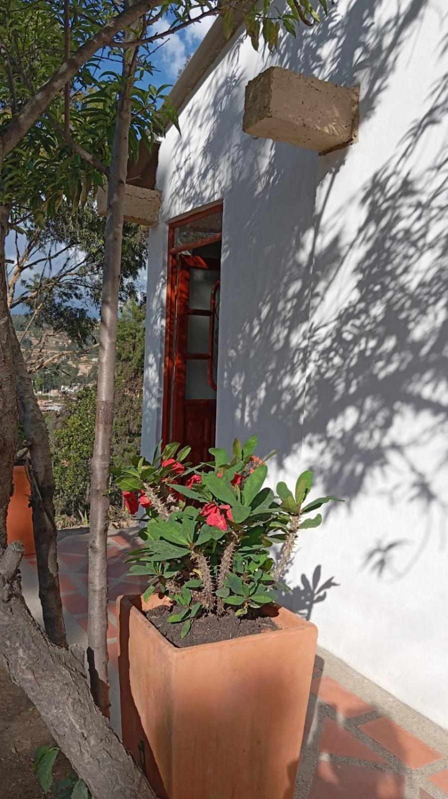 Casa Pórticos del Pedregal
