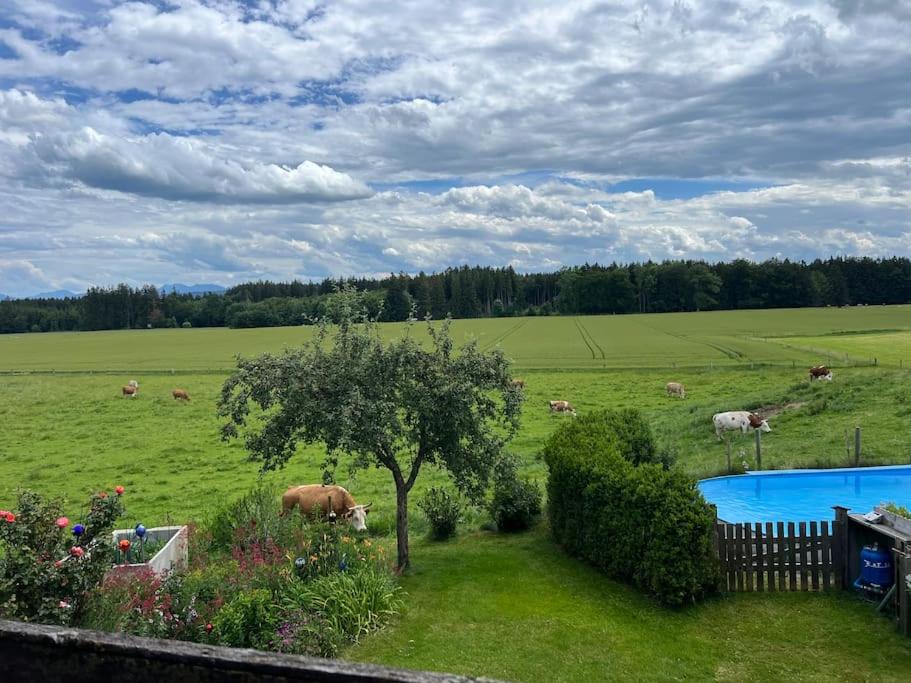 Ferienwohnung am Bauernhof