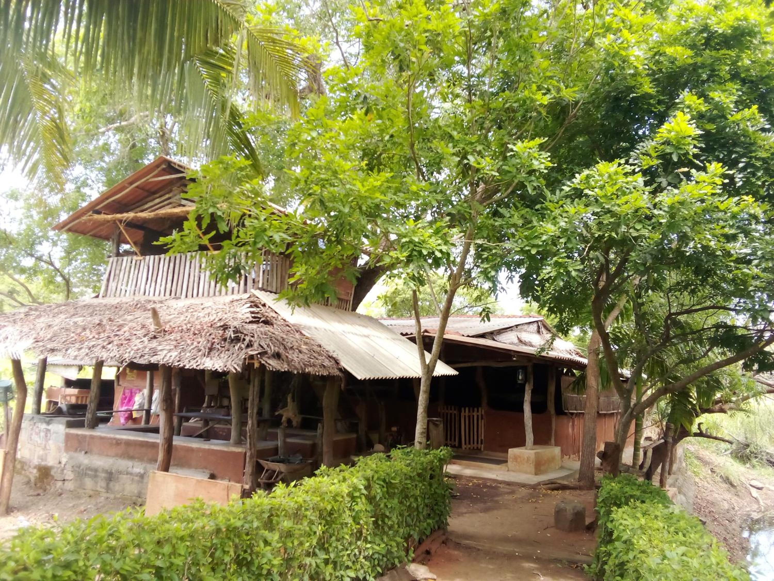 Eco Lodge Safari view 4