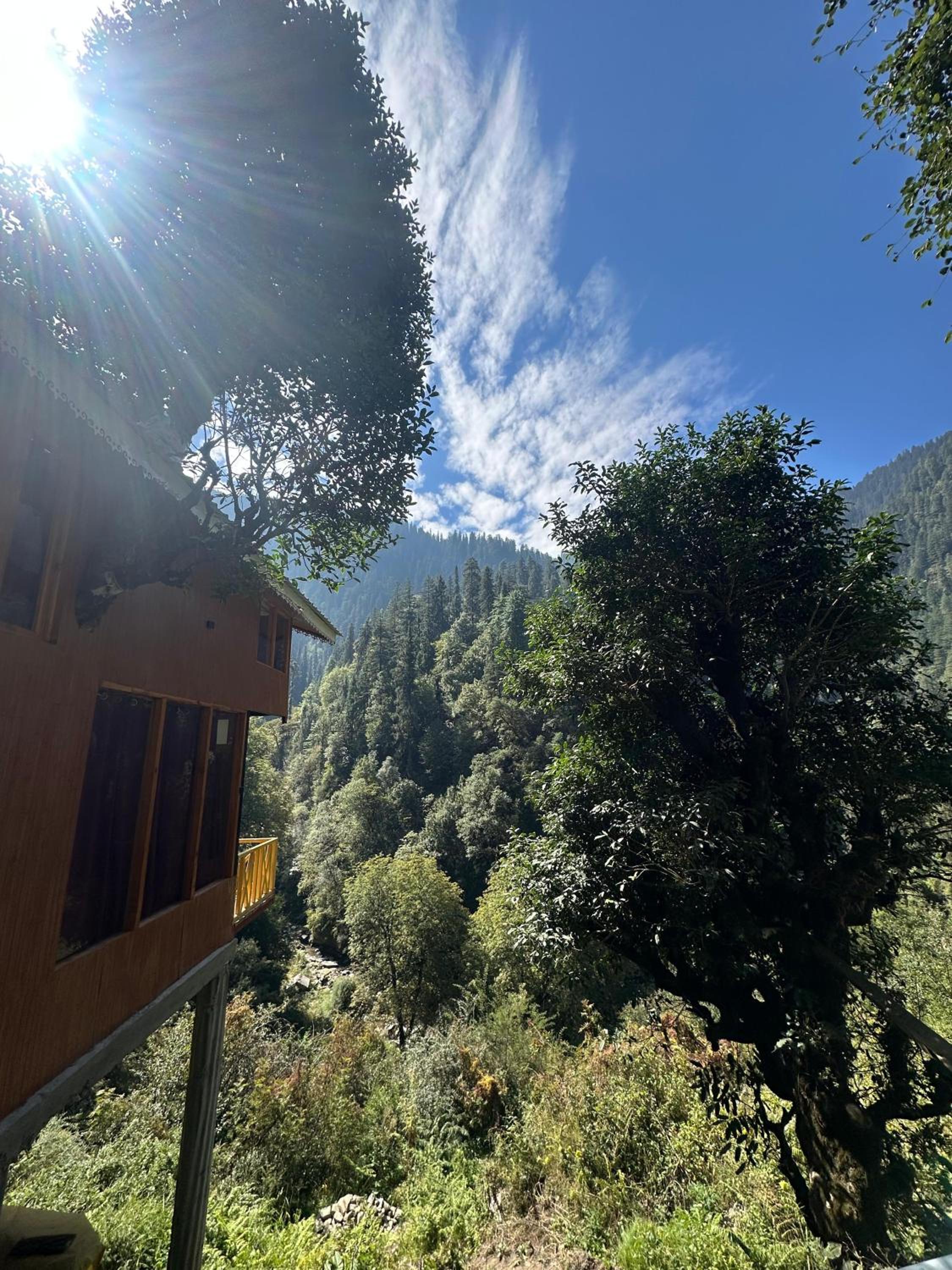 Tree House by The Forest Pinnacle and Café, Jibhi view 5