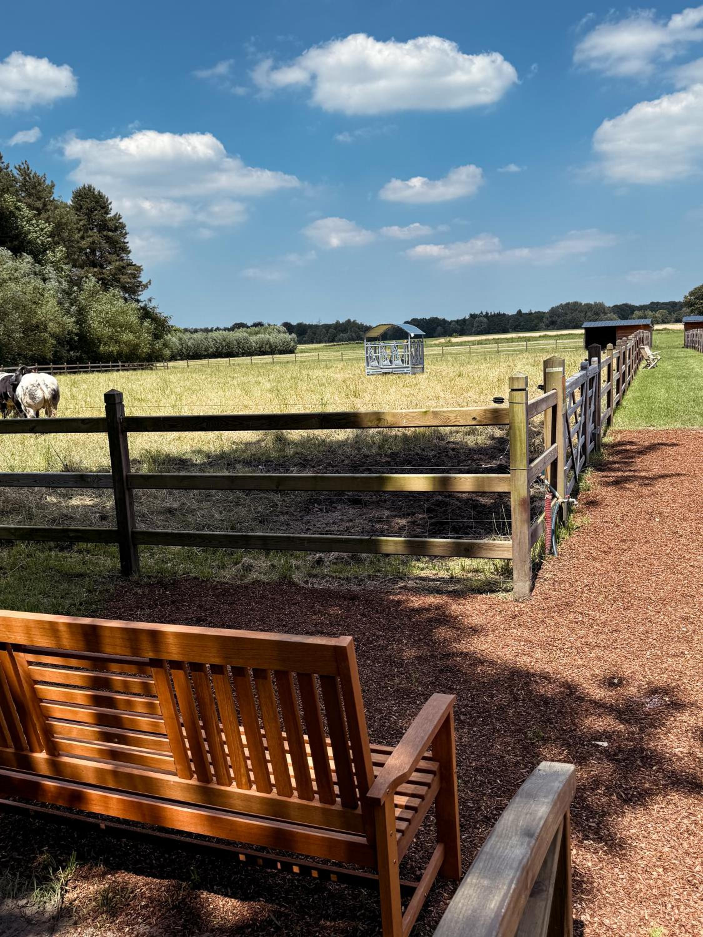 Kindvriendelijke vakantiewoning Happy Cow-ter