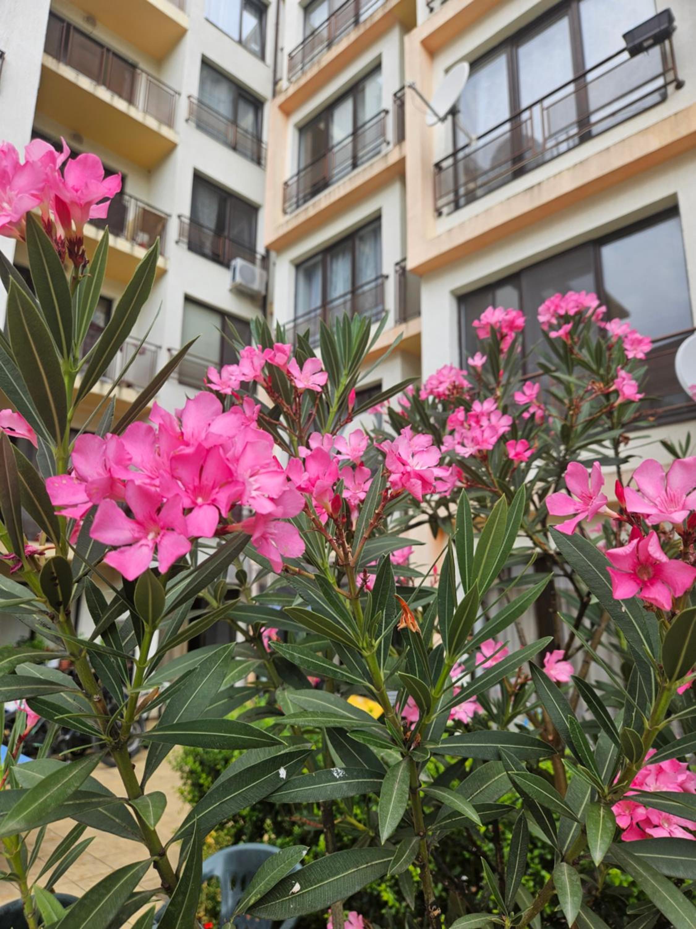 SannyBeach AmberBeach Apartment Bulgaria A14-1