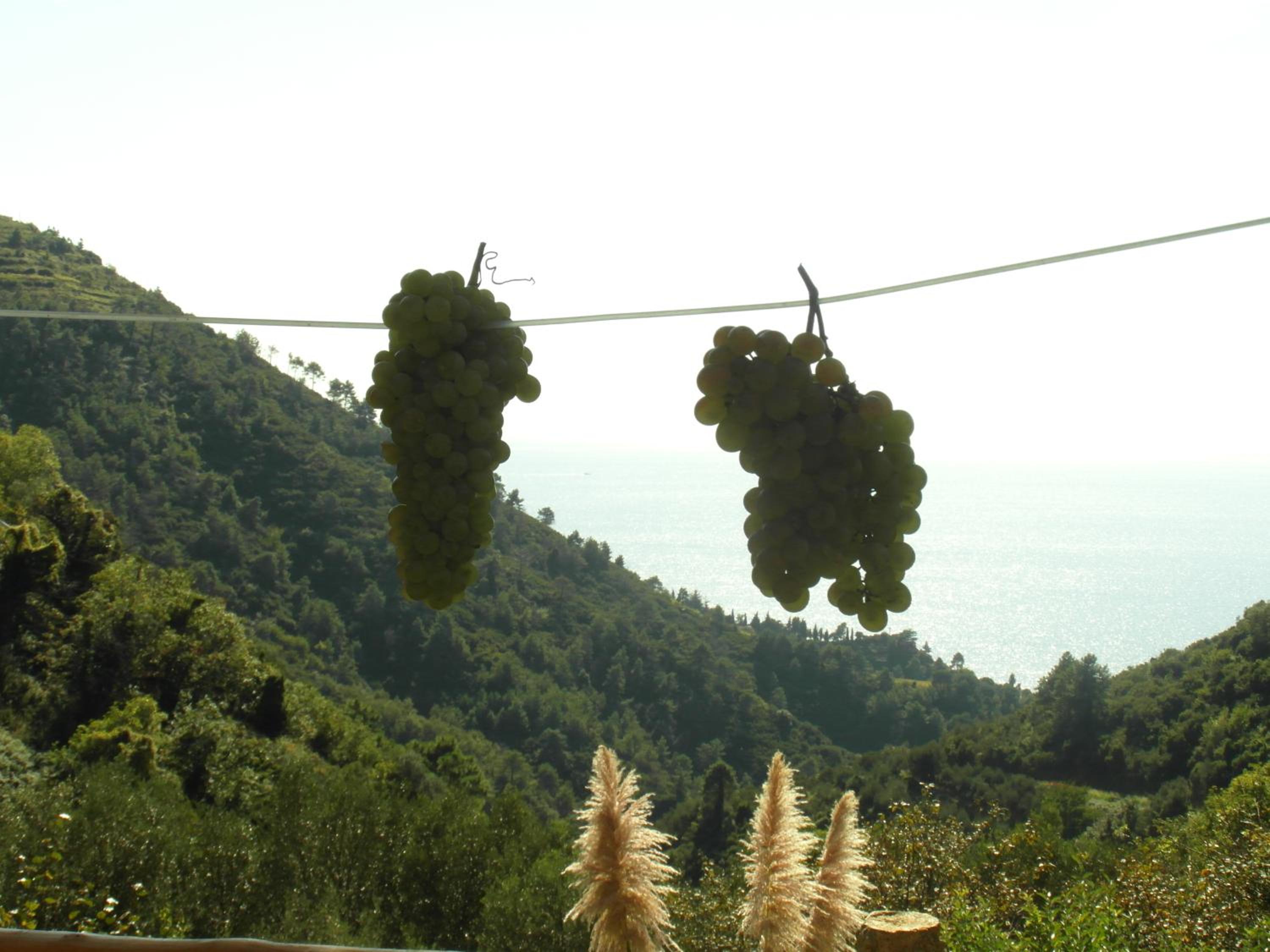 Agriturismo Costa di Campo