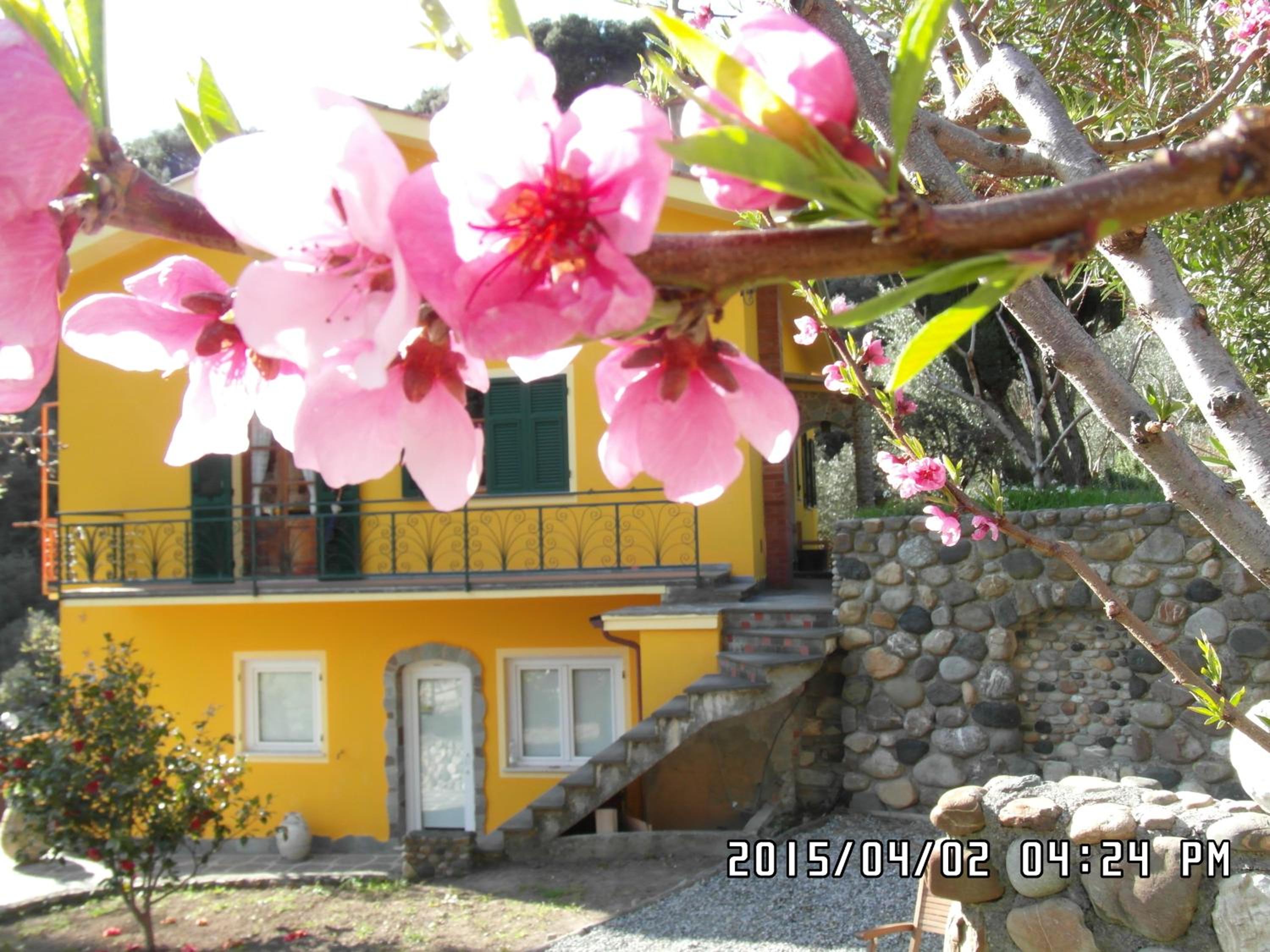 Agriturismo Costa di Campo