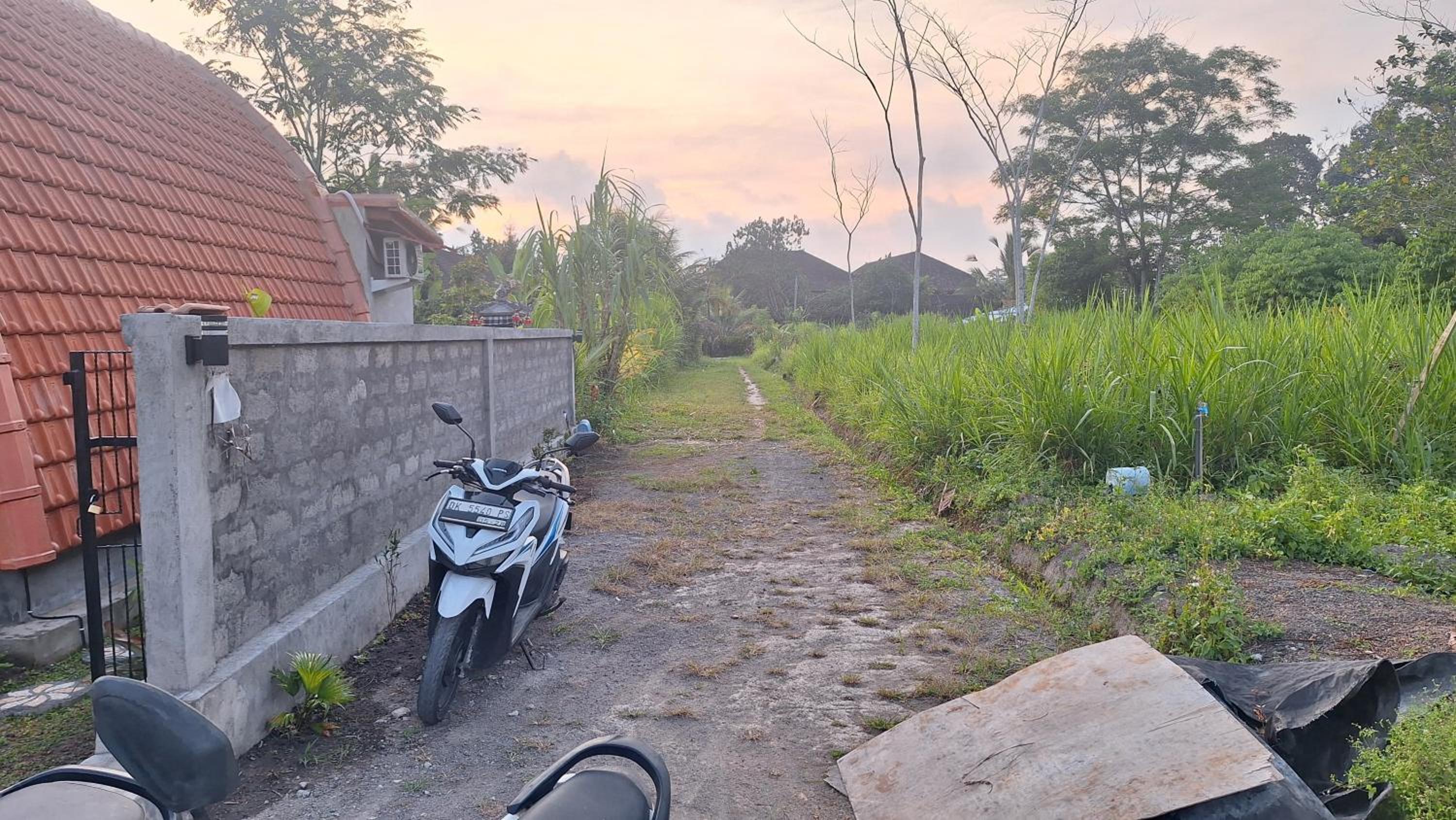 Photo 31