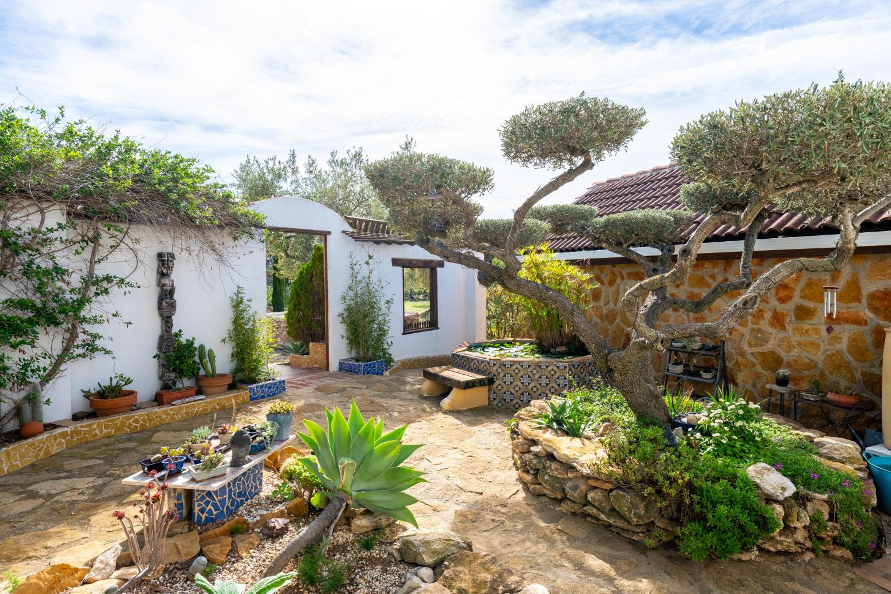 Casa Arbol
