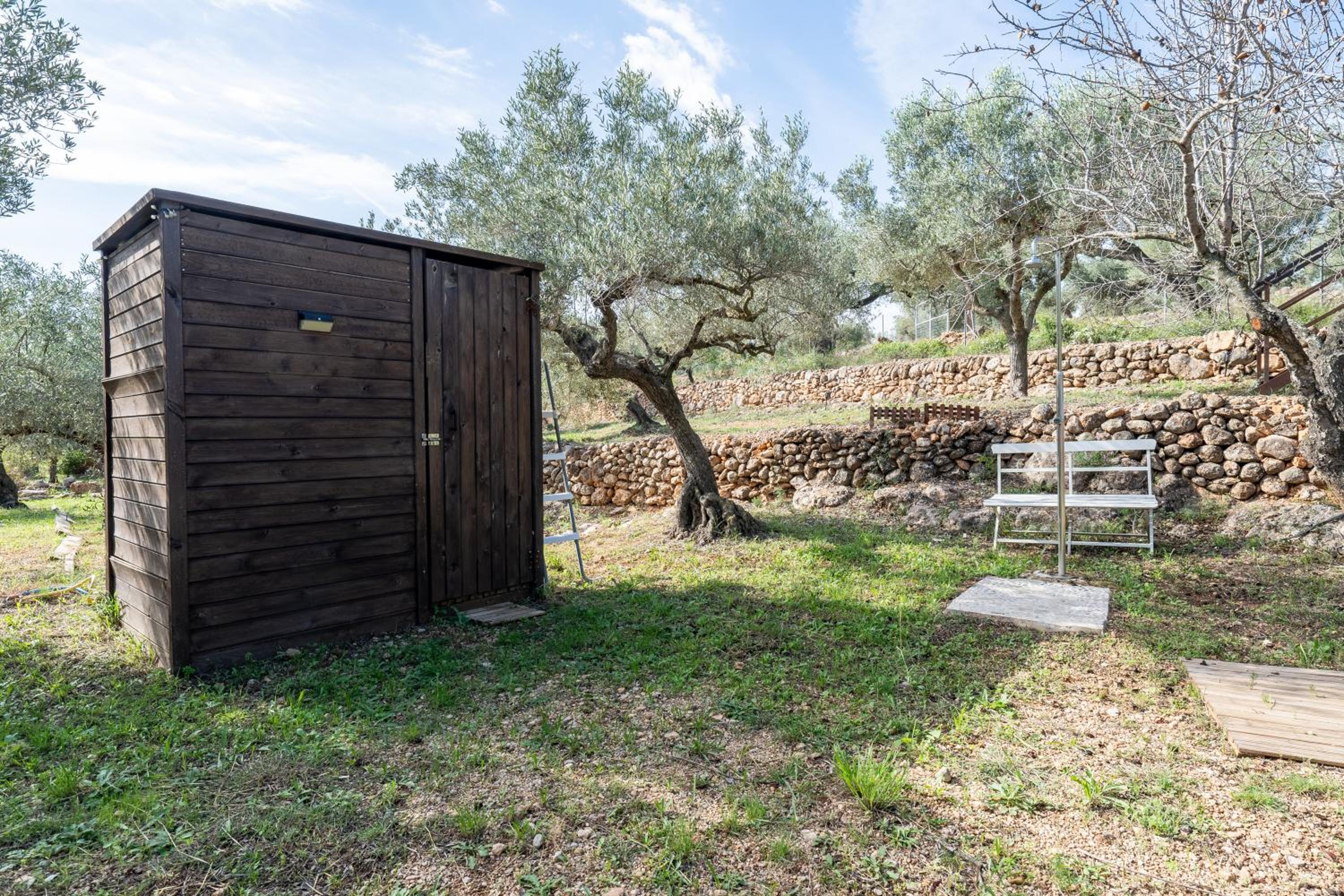 Casa Arbol